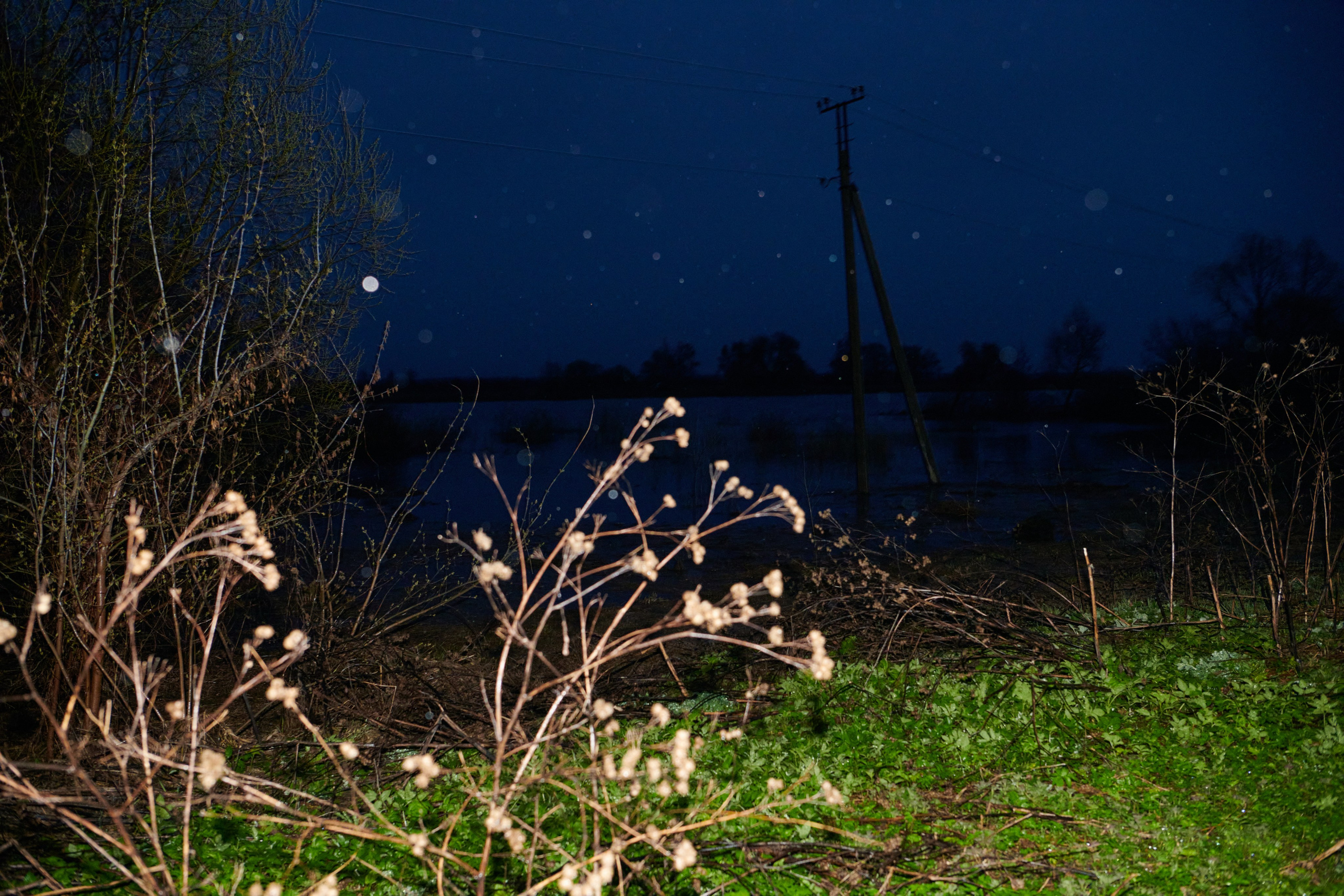 Water Path. Dmitry Ermakov. Documentary photographer