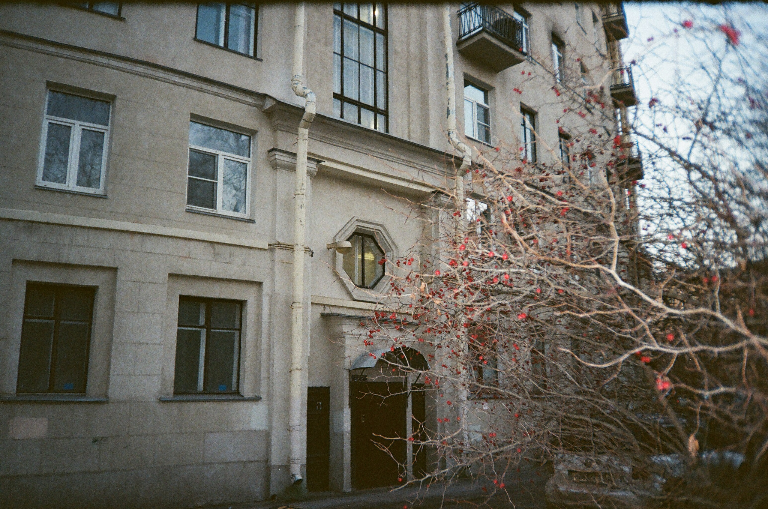 Winter is coming. ELINA VLADI