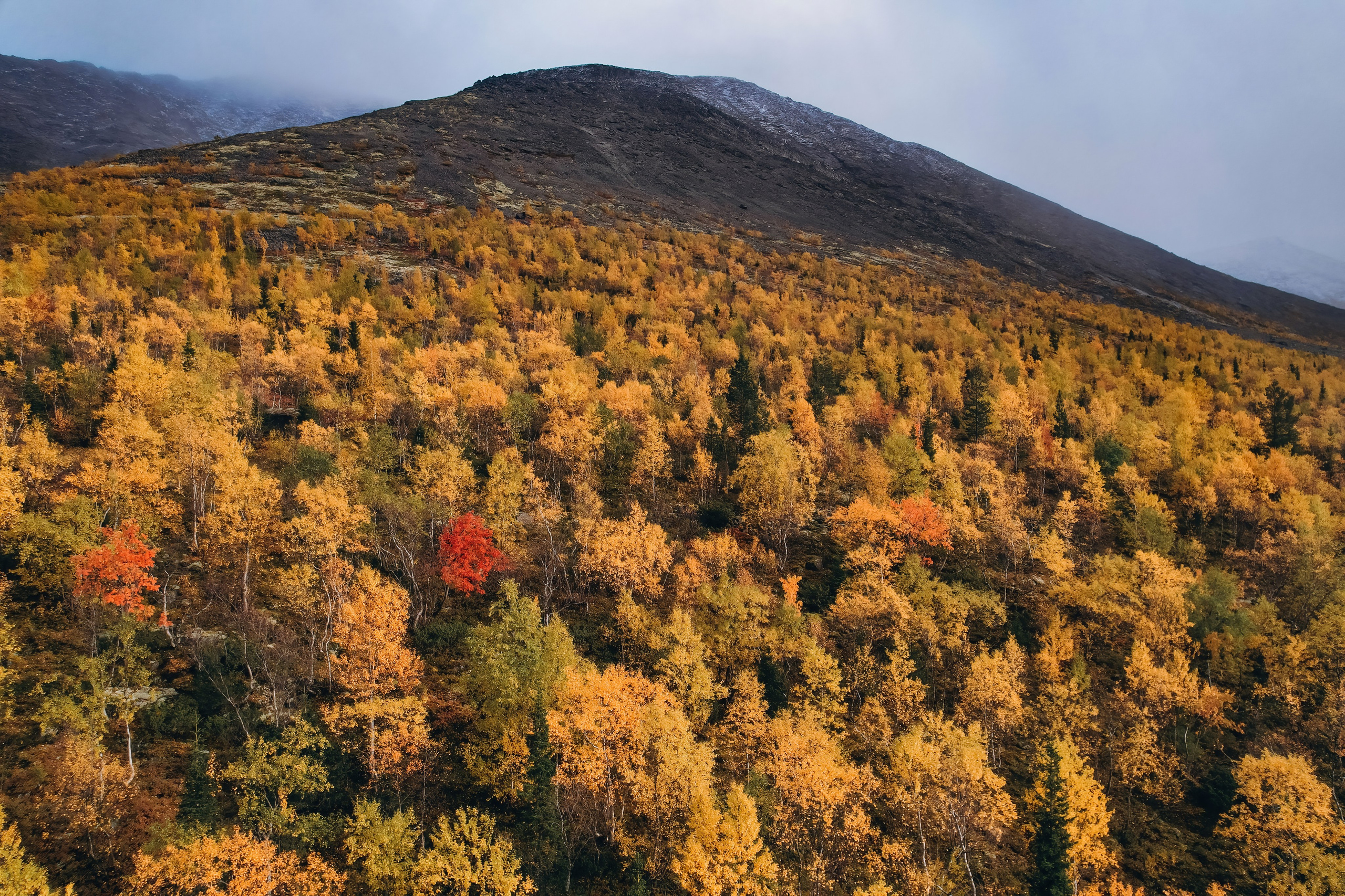 СЕВЕР. Event фотограф Степанова Александра