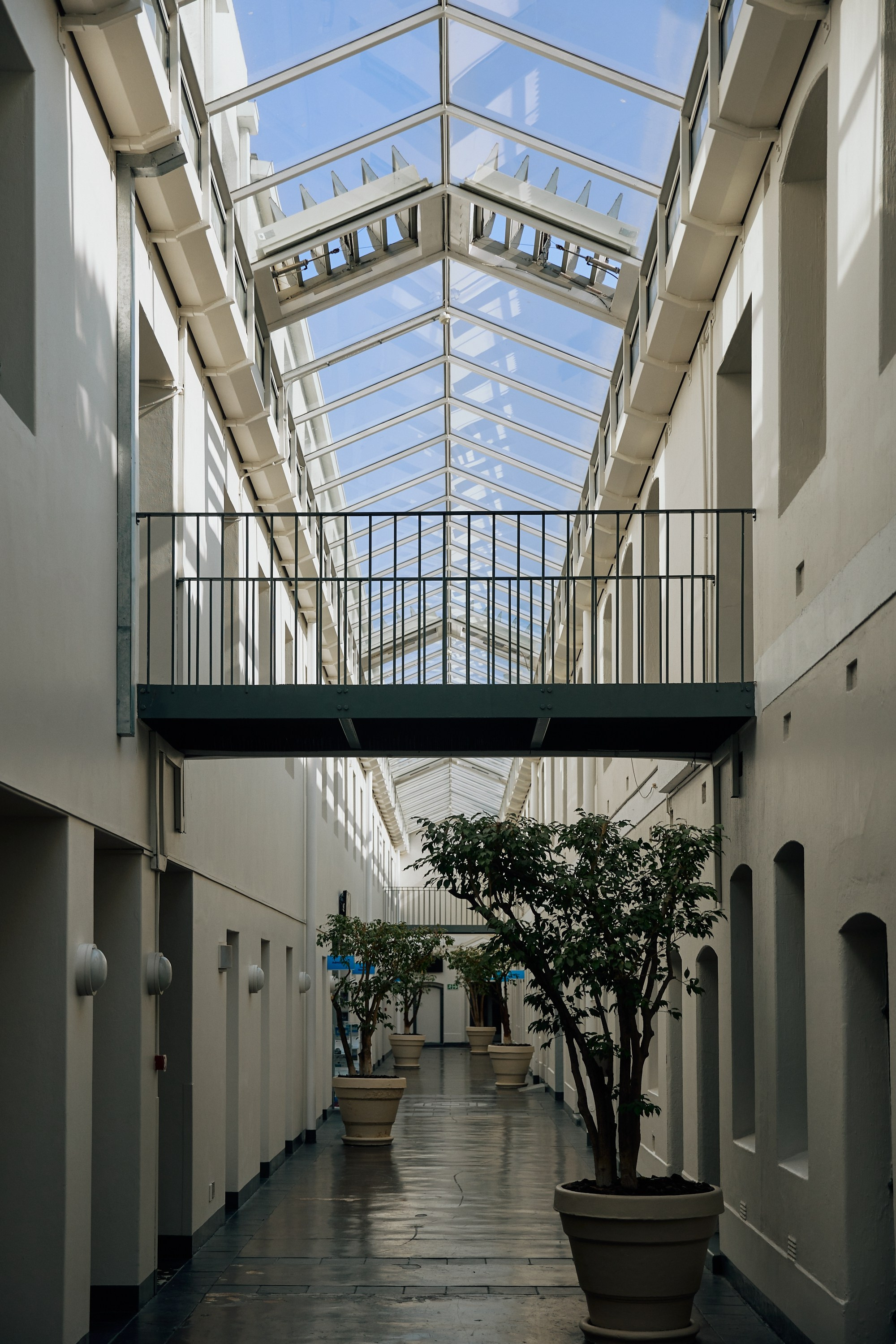 SOUTH AFRICA EMBA 38. Дмитрий Мазуркевич: Профессиональный Репортажный Фотограф