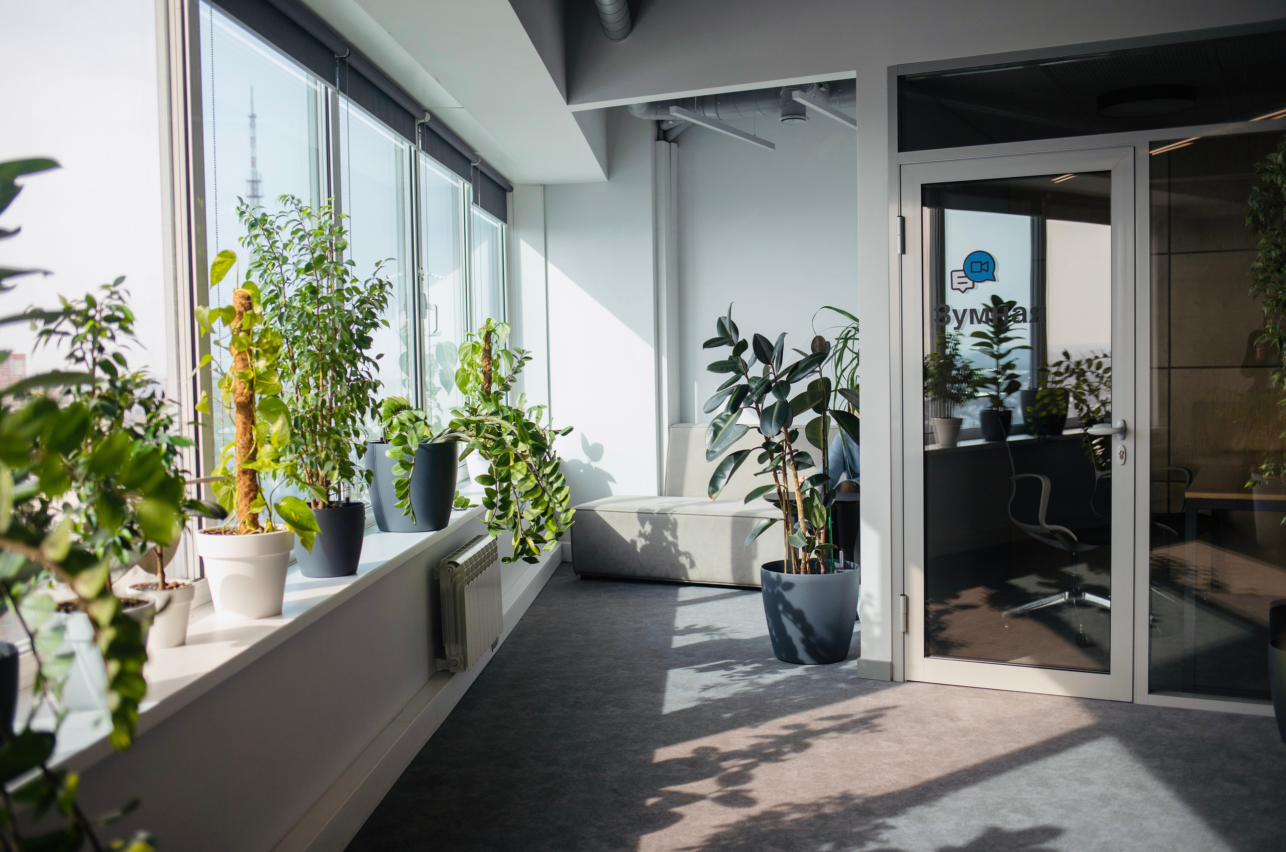 Business. Photographer Alina Skitovich