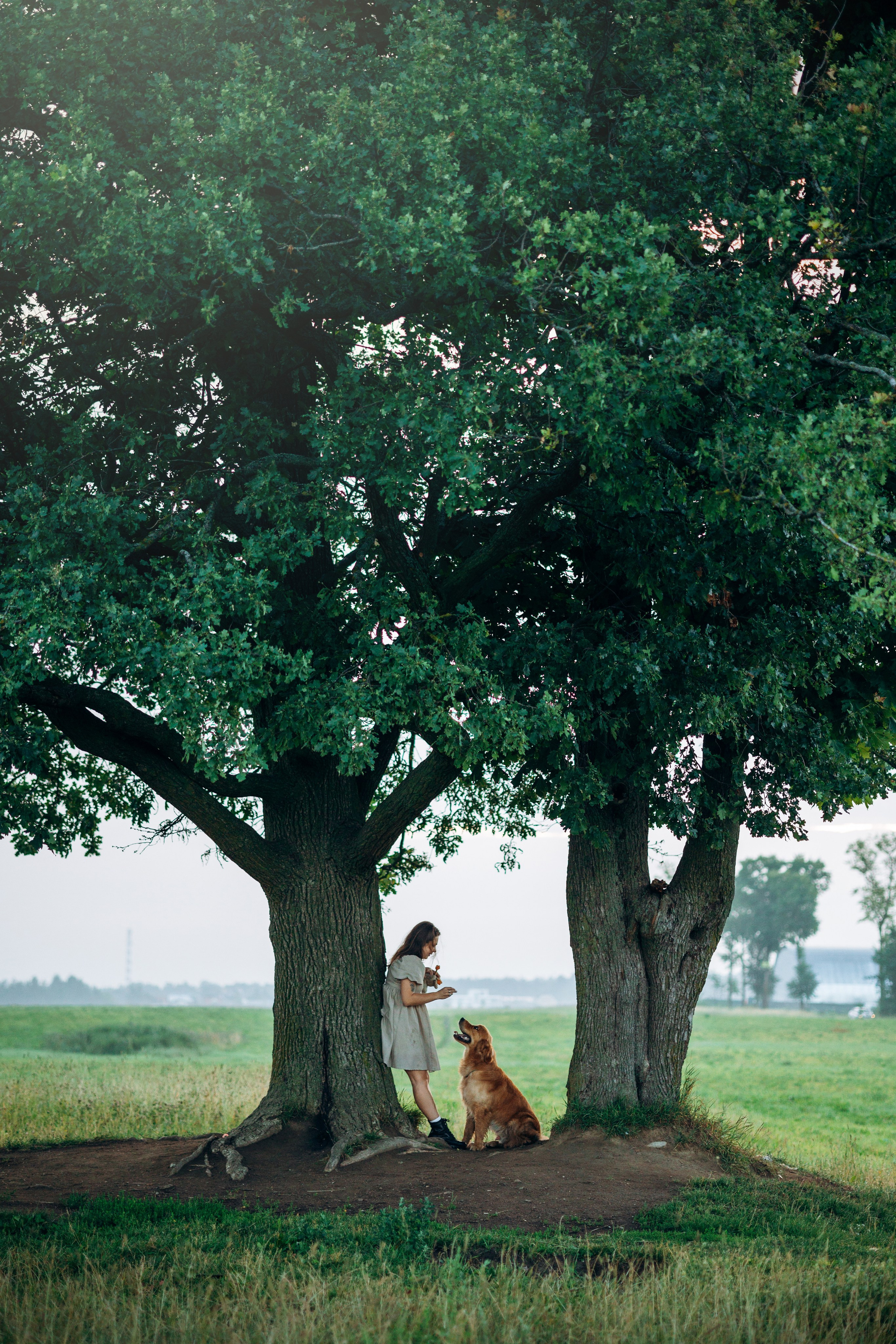 Аня и Ноллан. Фотограф — Анималист | Санкт-Петербург
