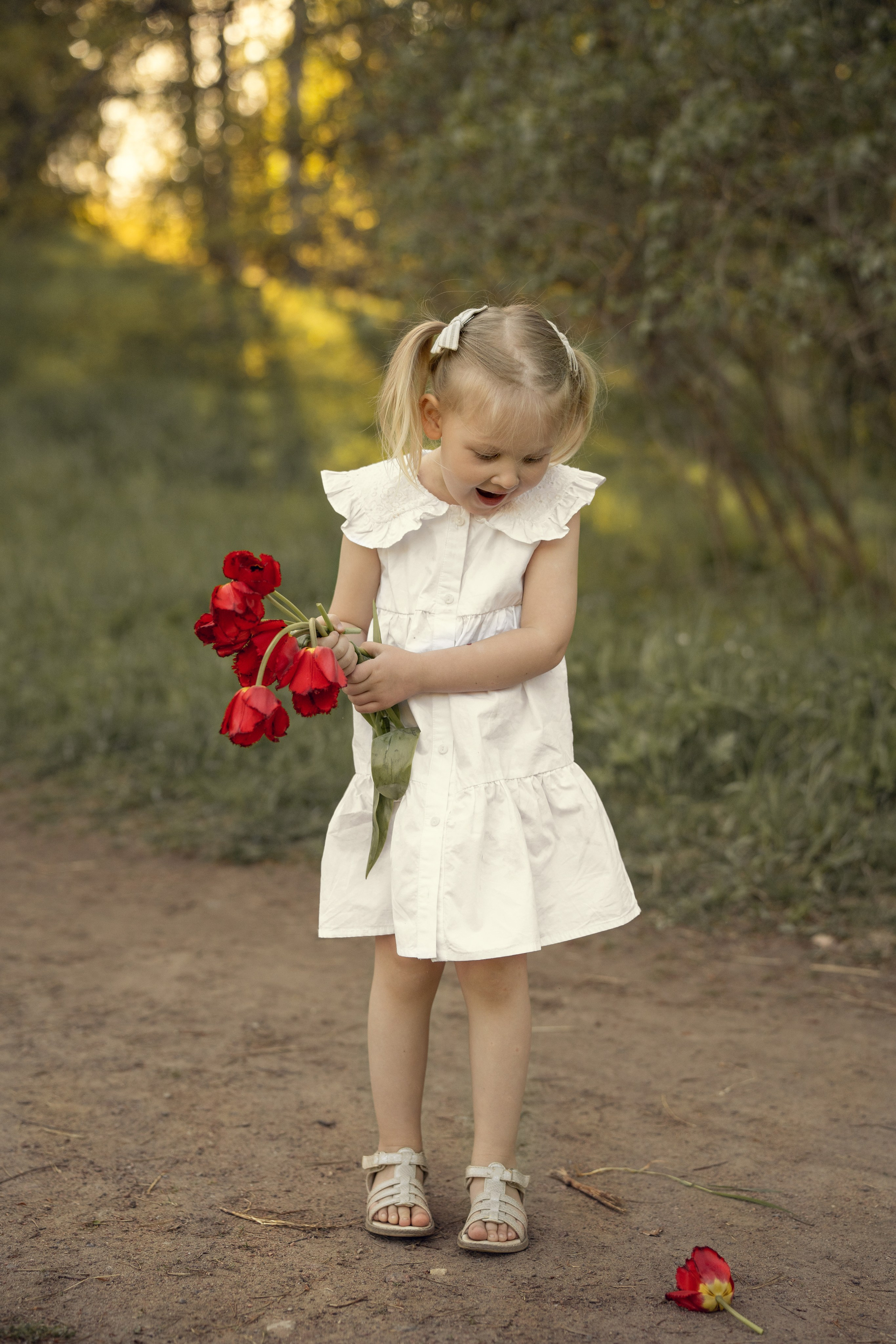 Фотопрогулка в Павловском парке