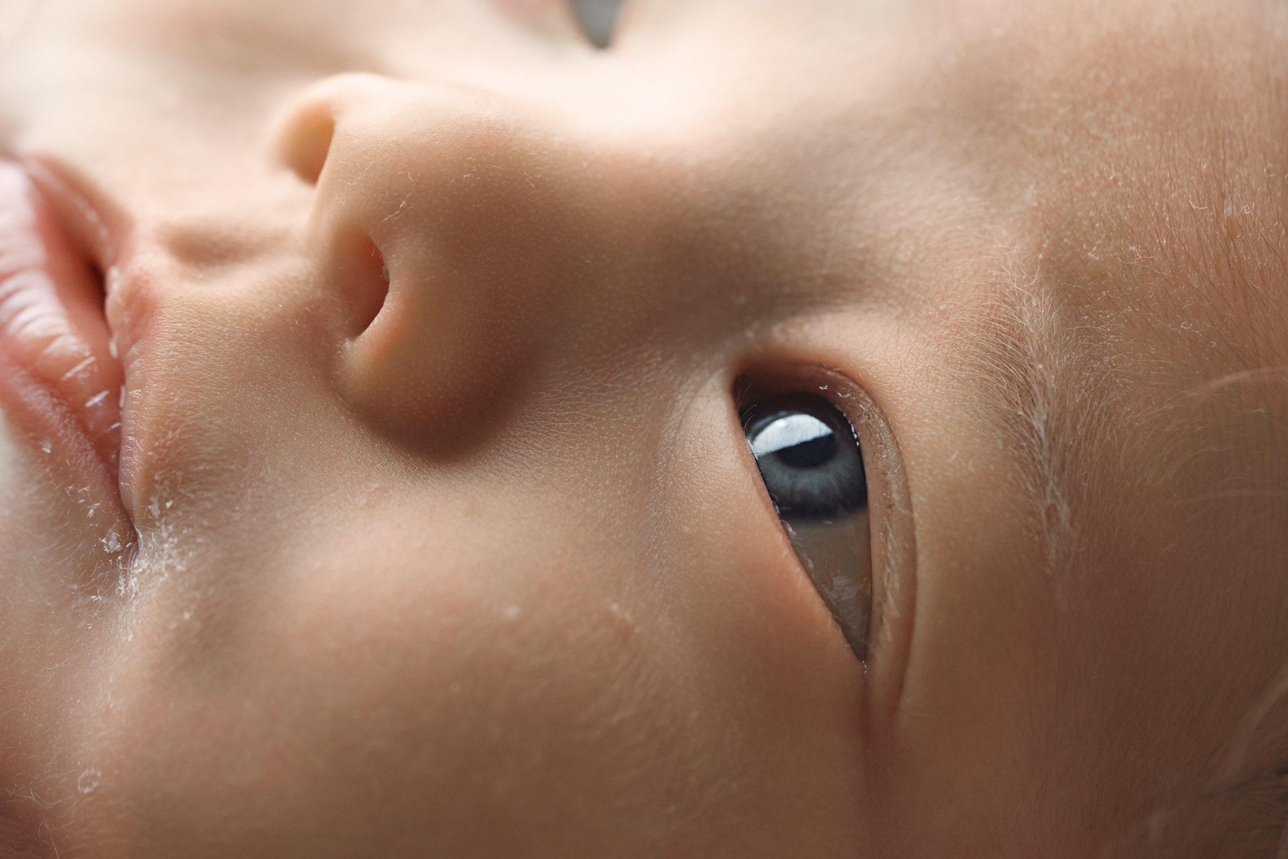 Милена. Фотограф новорожденных во Владивостоке Ромашко Виктория