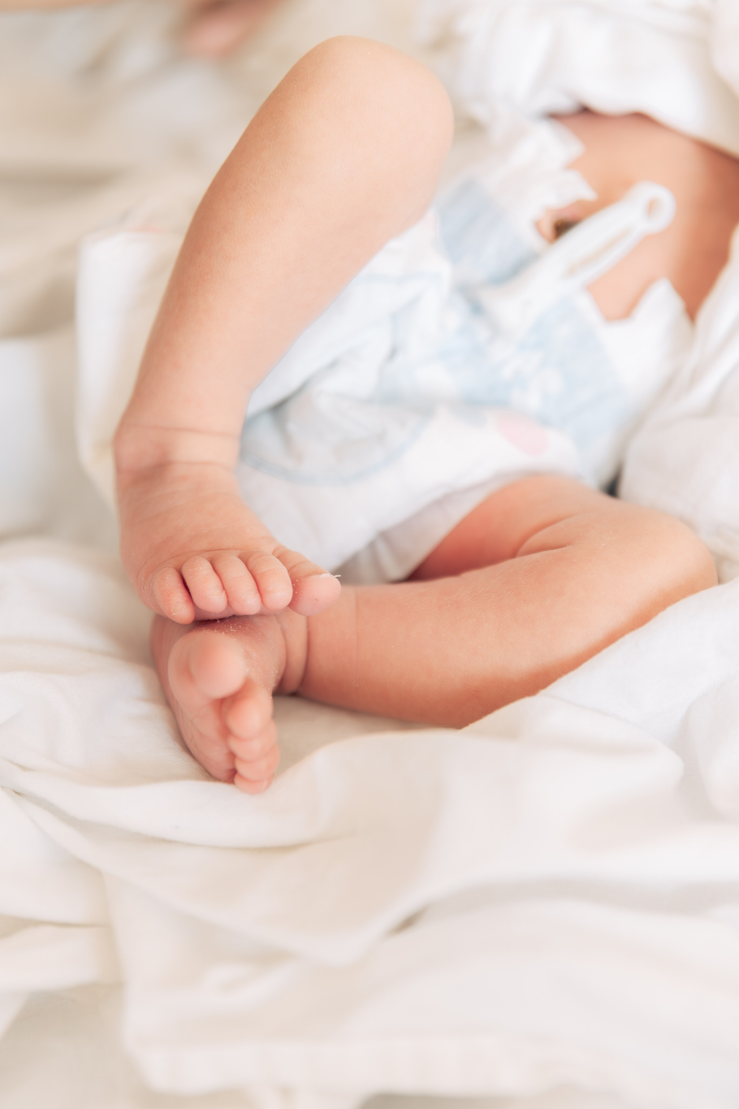 Выписка из ОПЦ