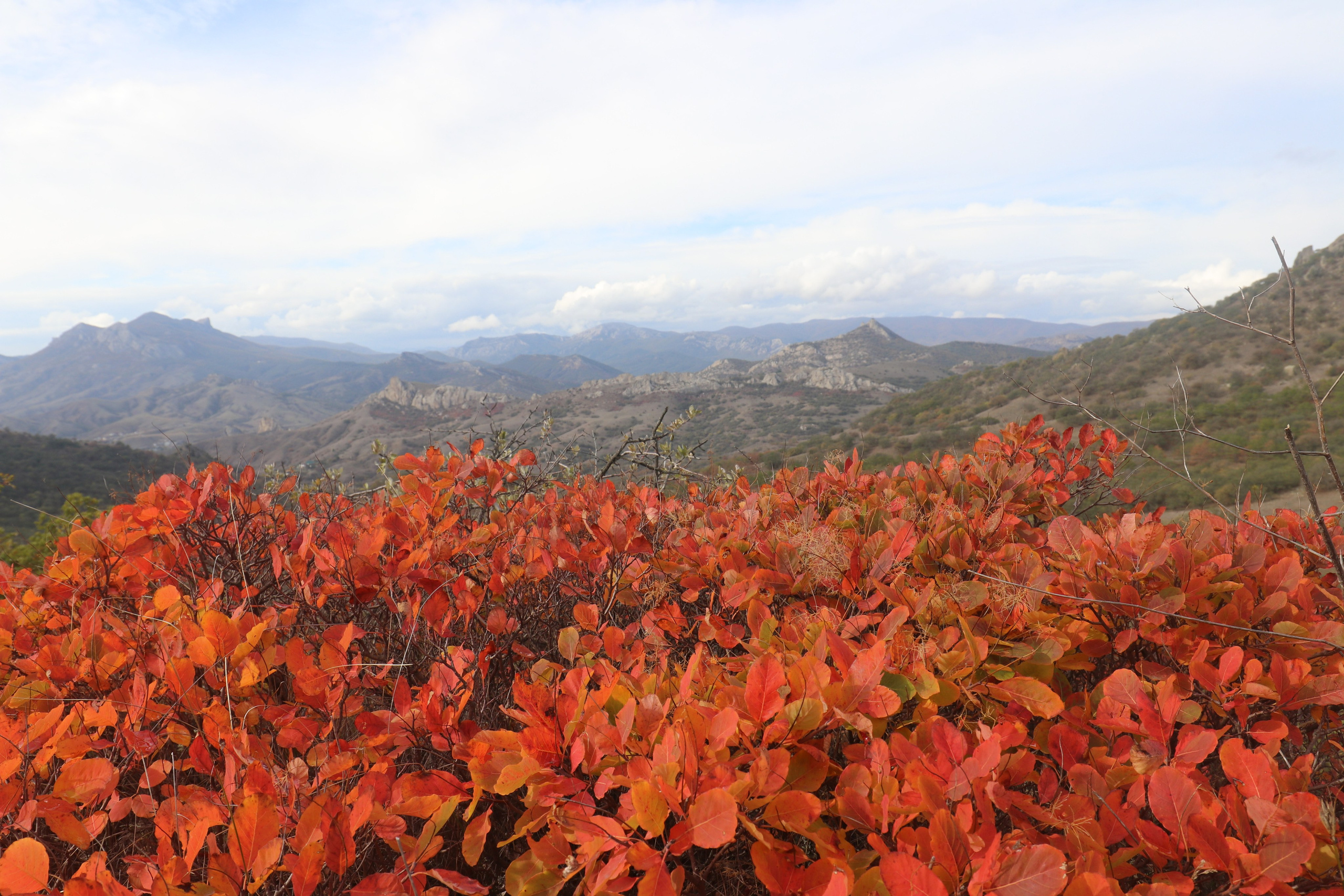 Крым. ЮБК (Судак, Карадаг). Ноябрь 2020. Путешественник-фотограф из Санкт-Петербурга Татьяна Свистулина