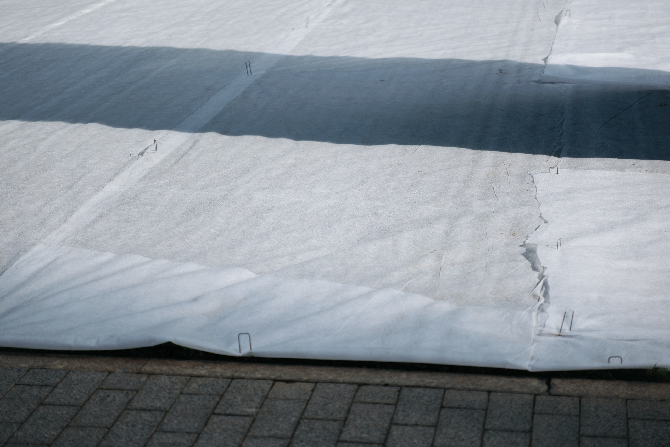 Фотограф и исследователь городской среды Ксения Русс