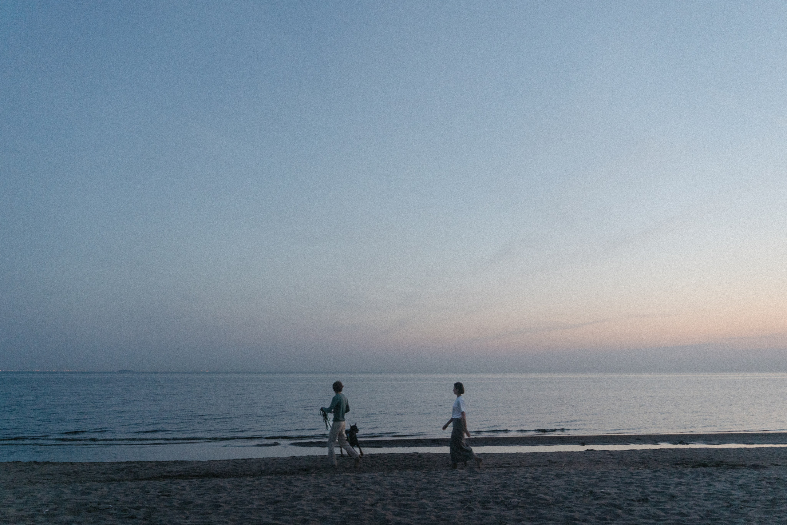 Нестер и Кристина. Свадебный и семейный фотограф в Санкт-Петербурге Дмитрий Панин