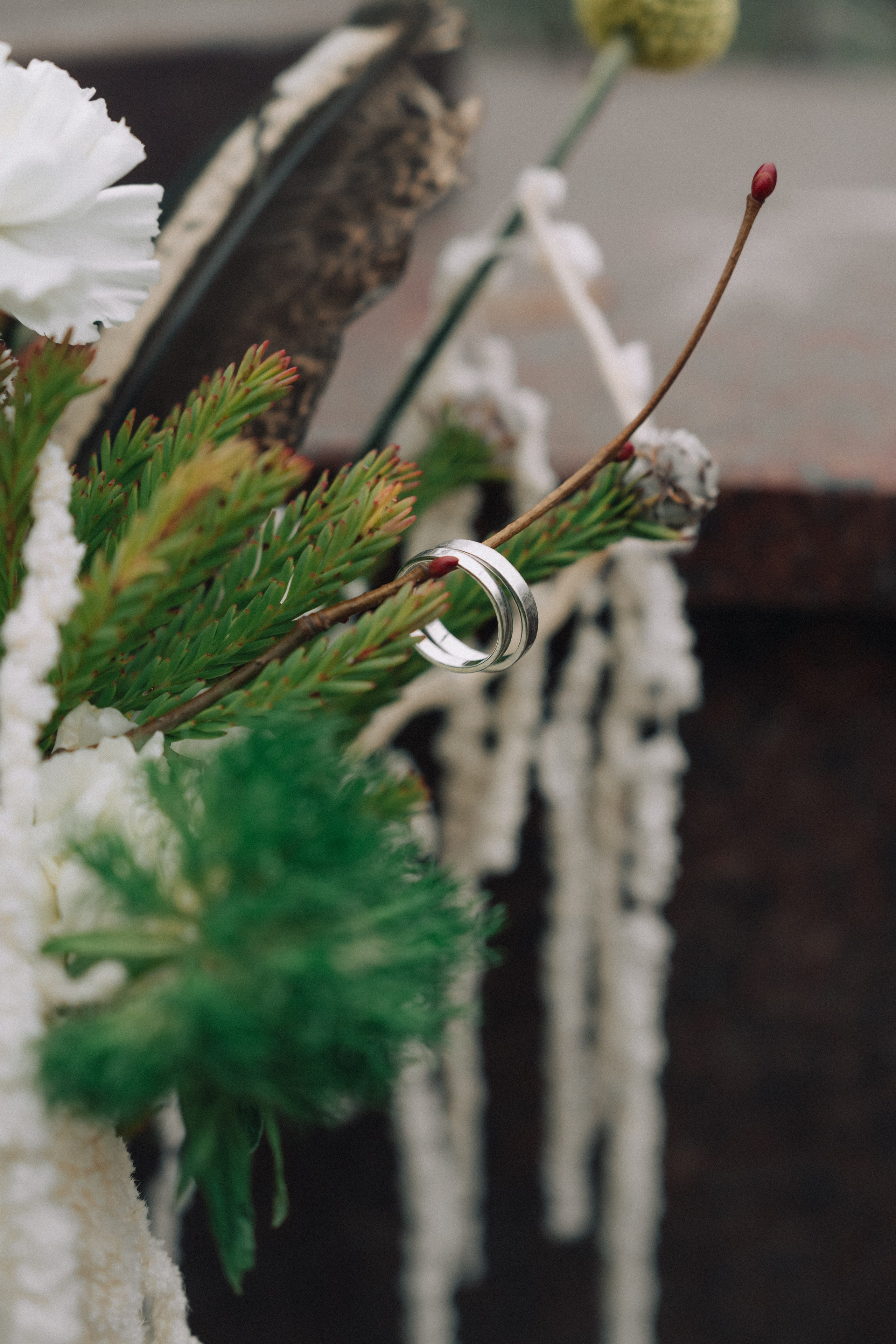 Жан и Алла. Ирина Гонтарева|Фотограф|Белгород