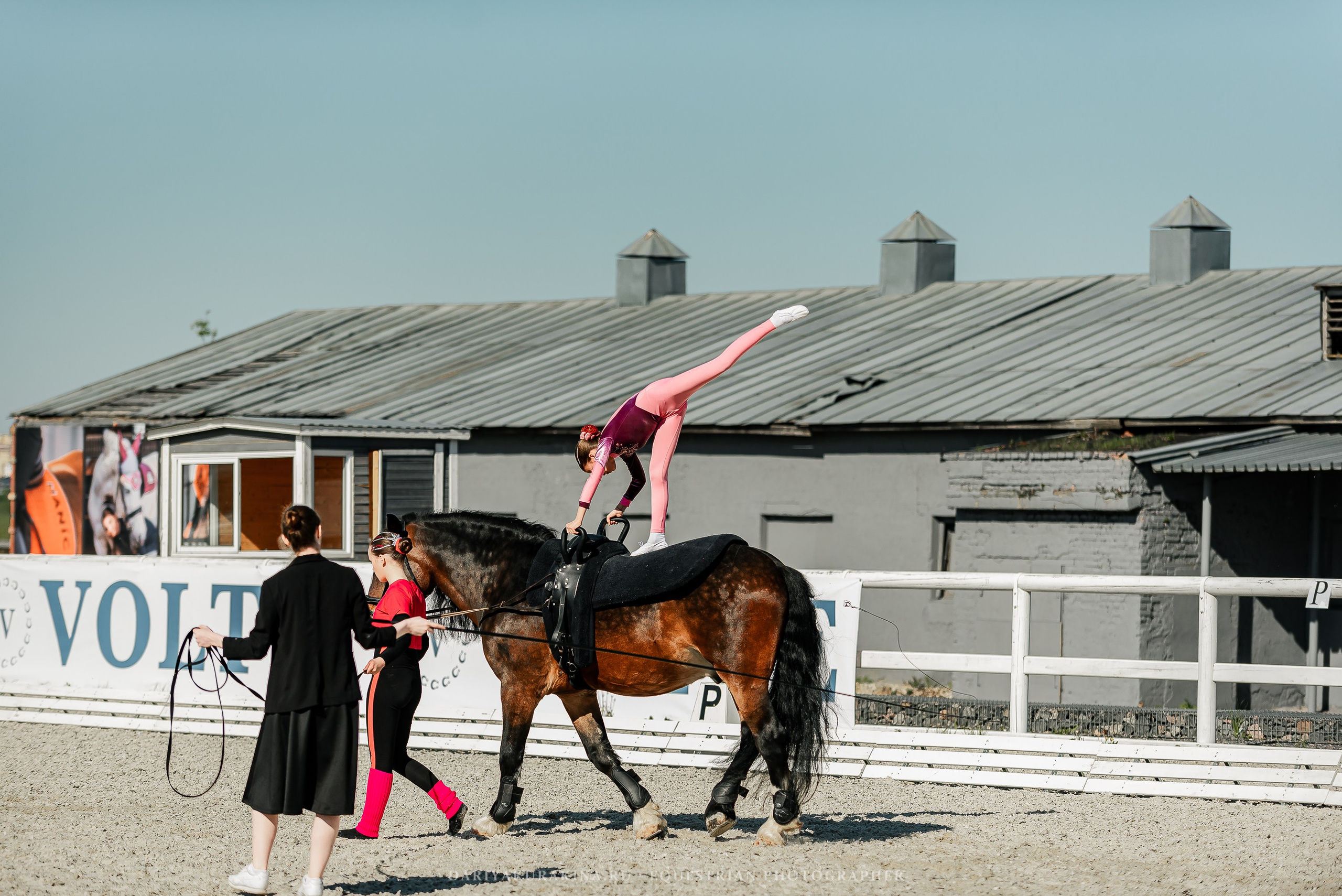 РЕПОРТАЖ МКК ВОЛЬТ «LA TULIPS». Конный фотограф Куракина Дарья • Фотосессии с лошадьми
