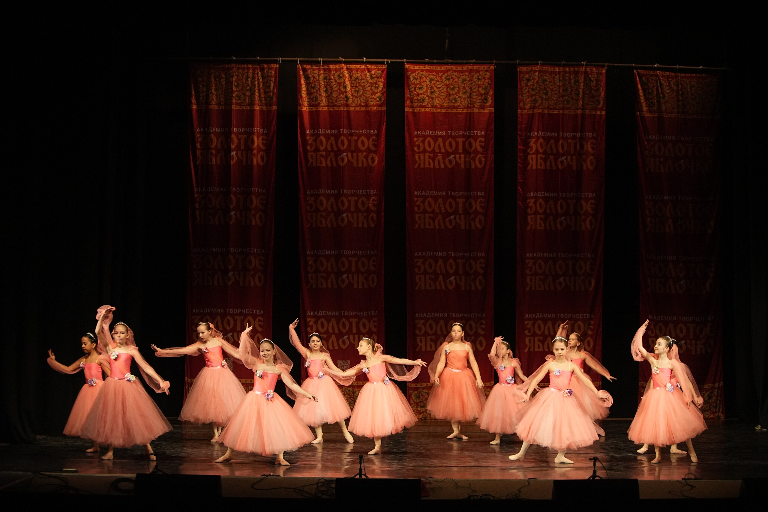 22 февраля, г. Нижний Новгород. Золотое яблочко