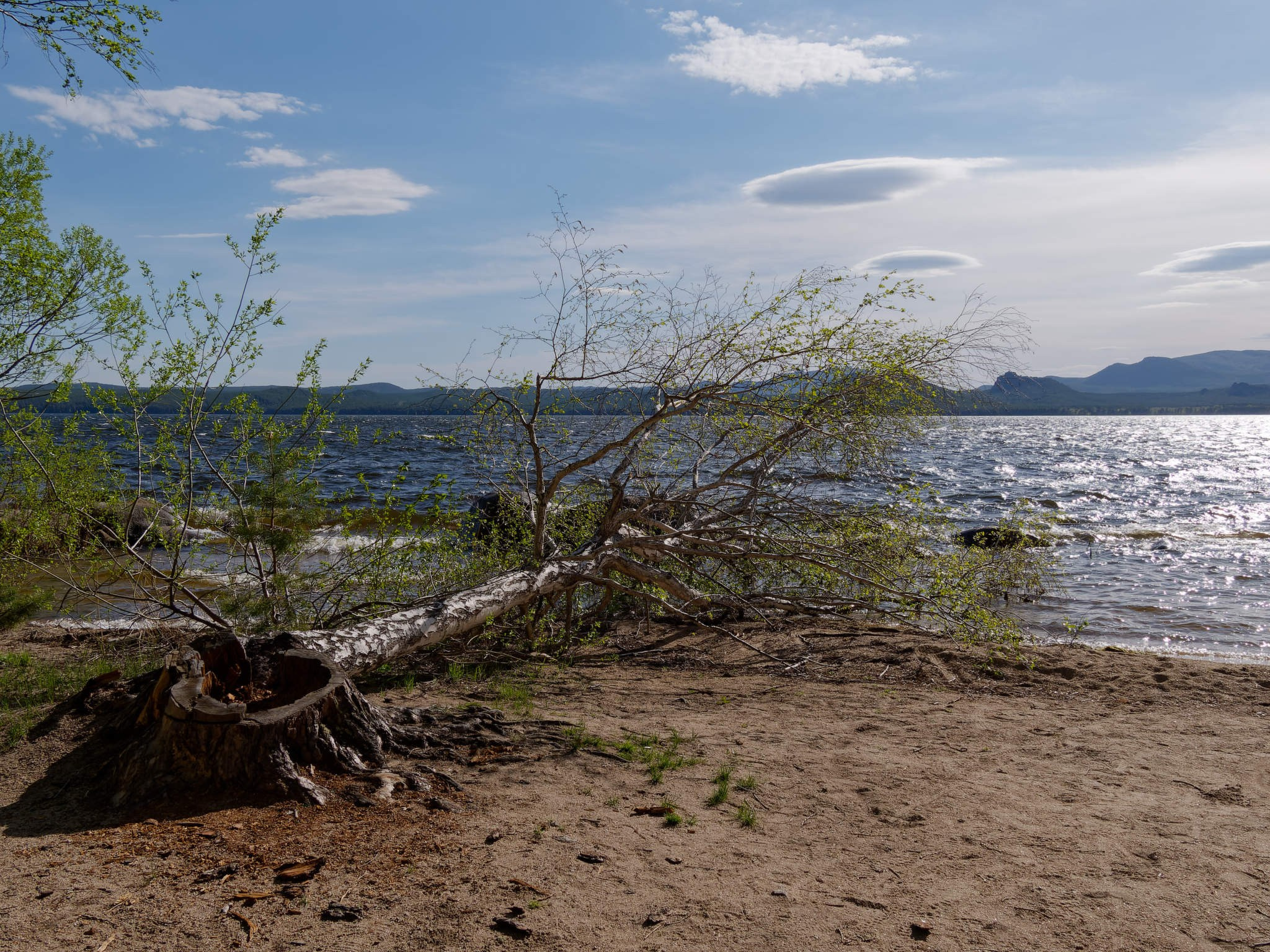 Боровое 2024 (из архива). Избранные фотографии