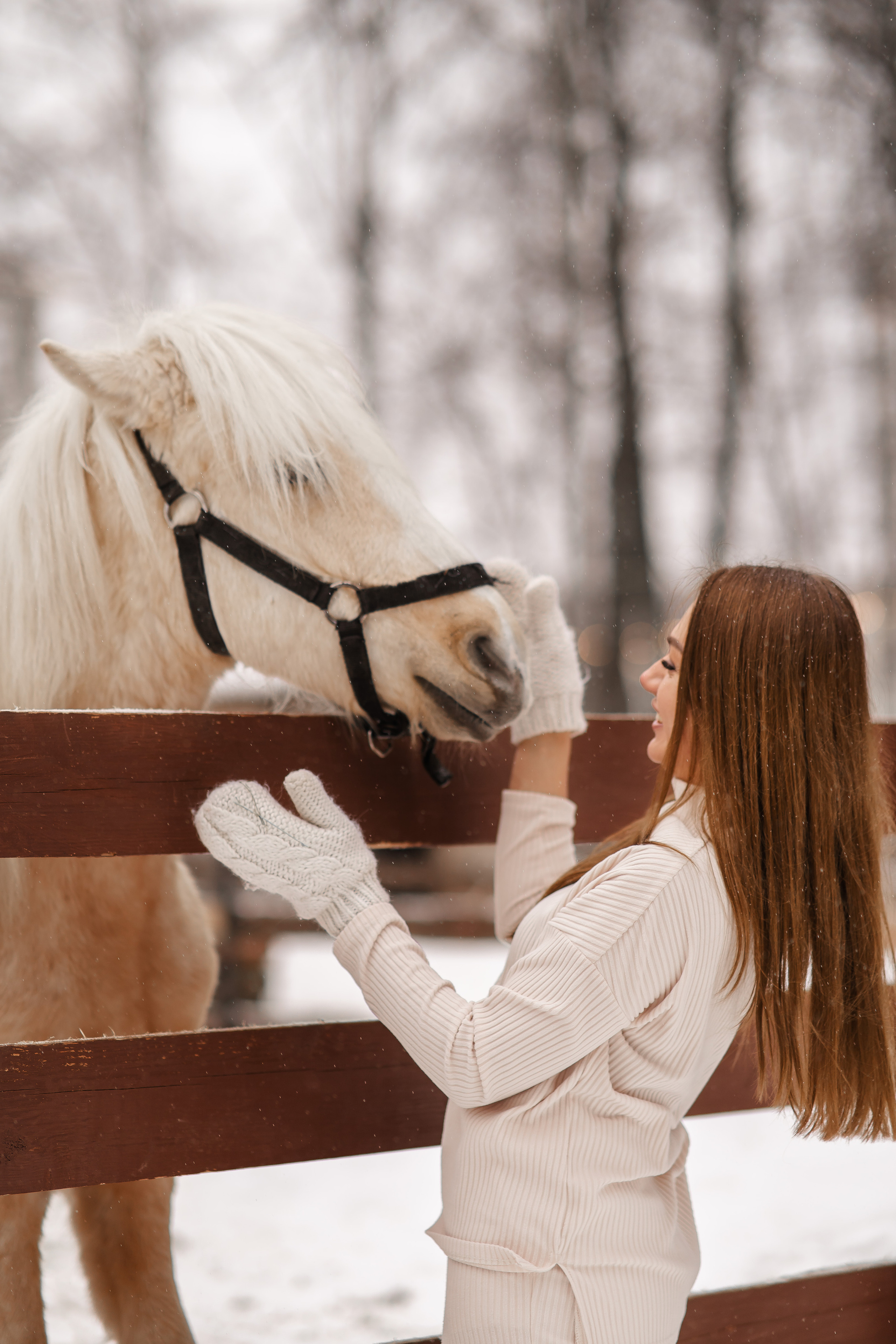 Зимняя ферма. Фотограф — Матвеев Роман