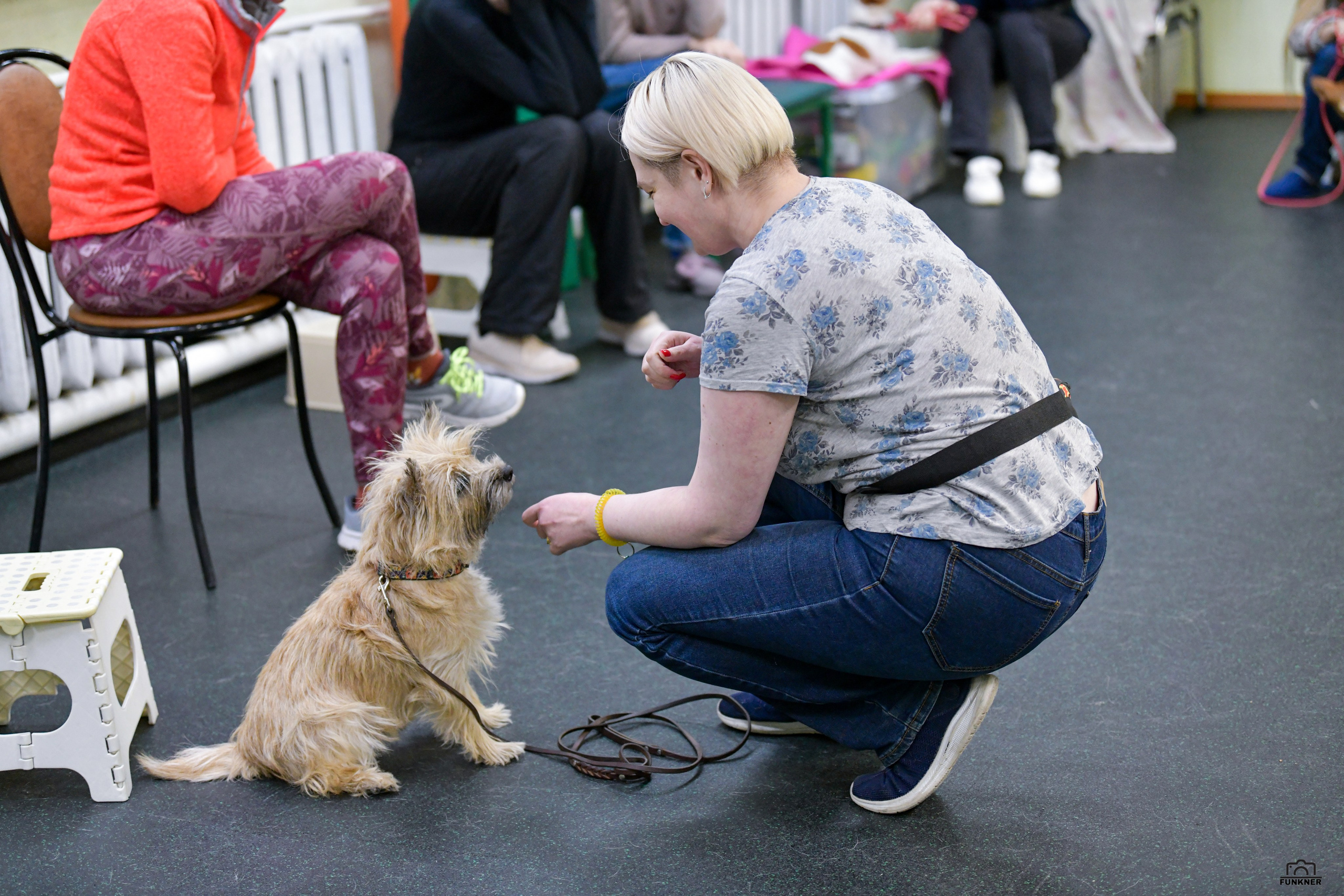 Кинологический клуб «Бодрый хвост». Свой взгляд через объектив