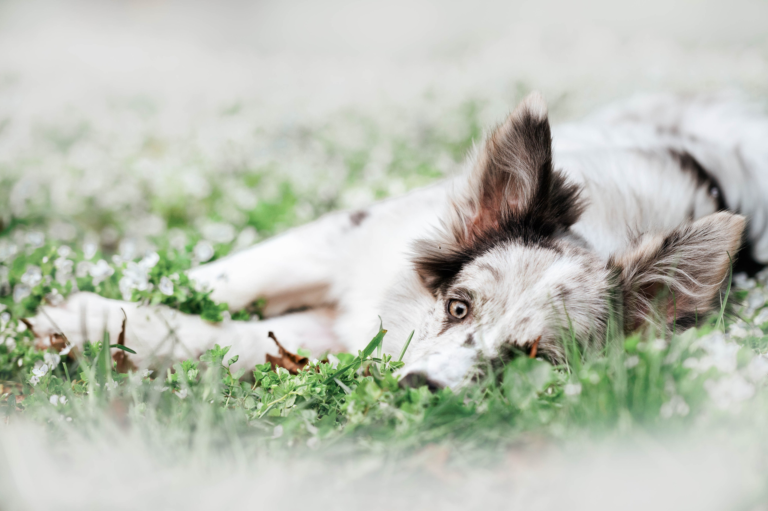 Весна на ВДНХ. Фотограф-анималист