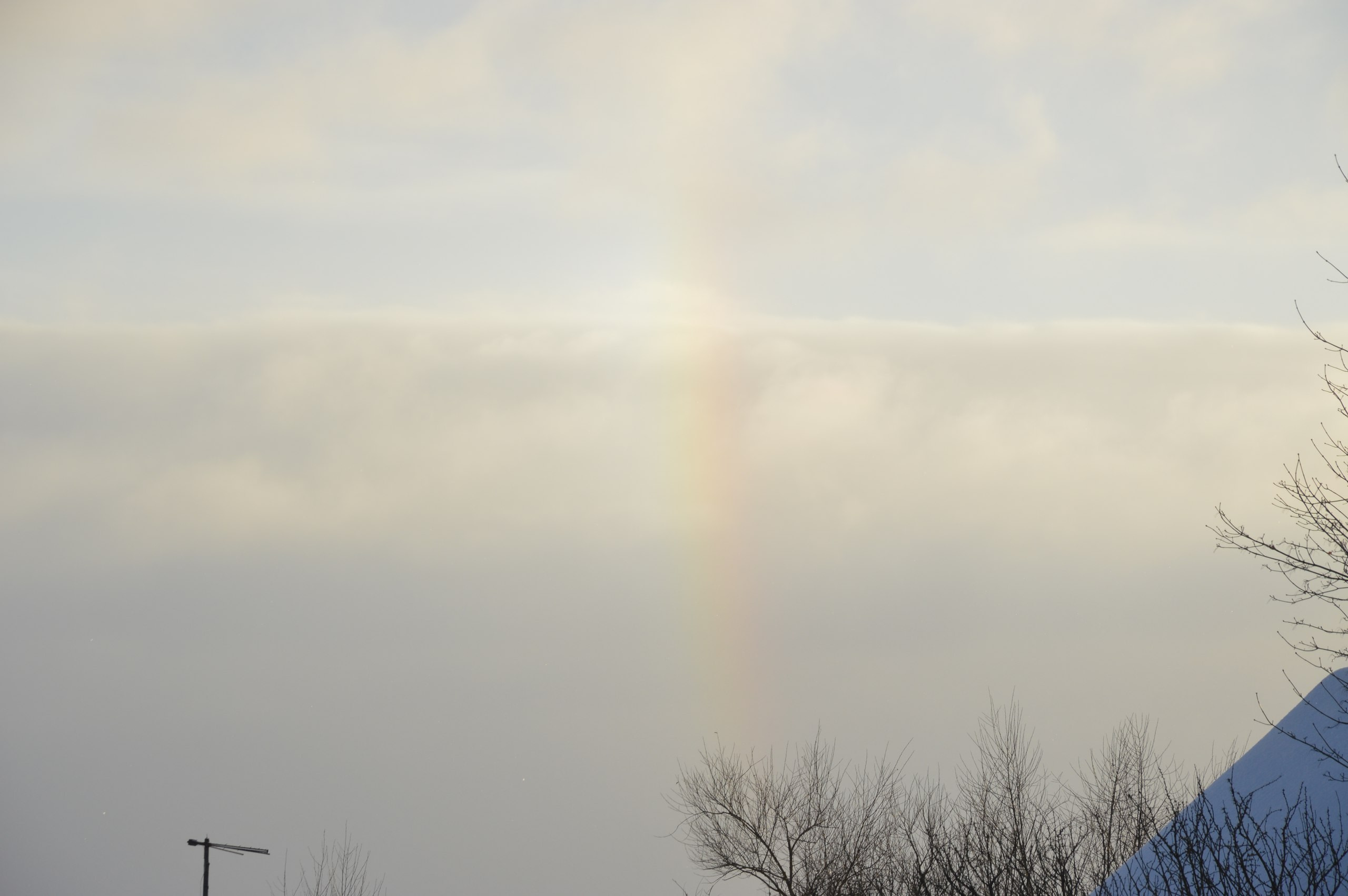 Сергиев Посад | 11.12.2016. Галерея Фантим