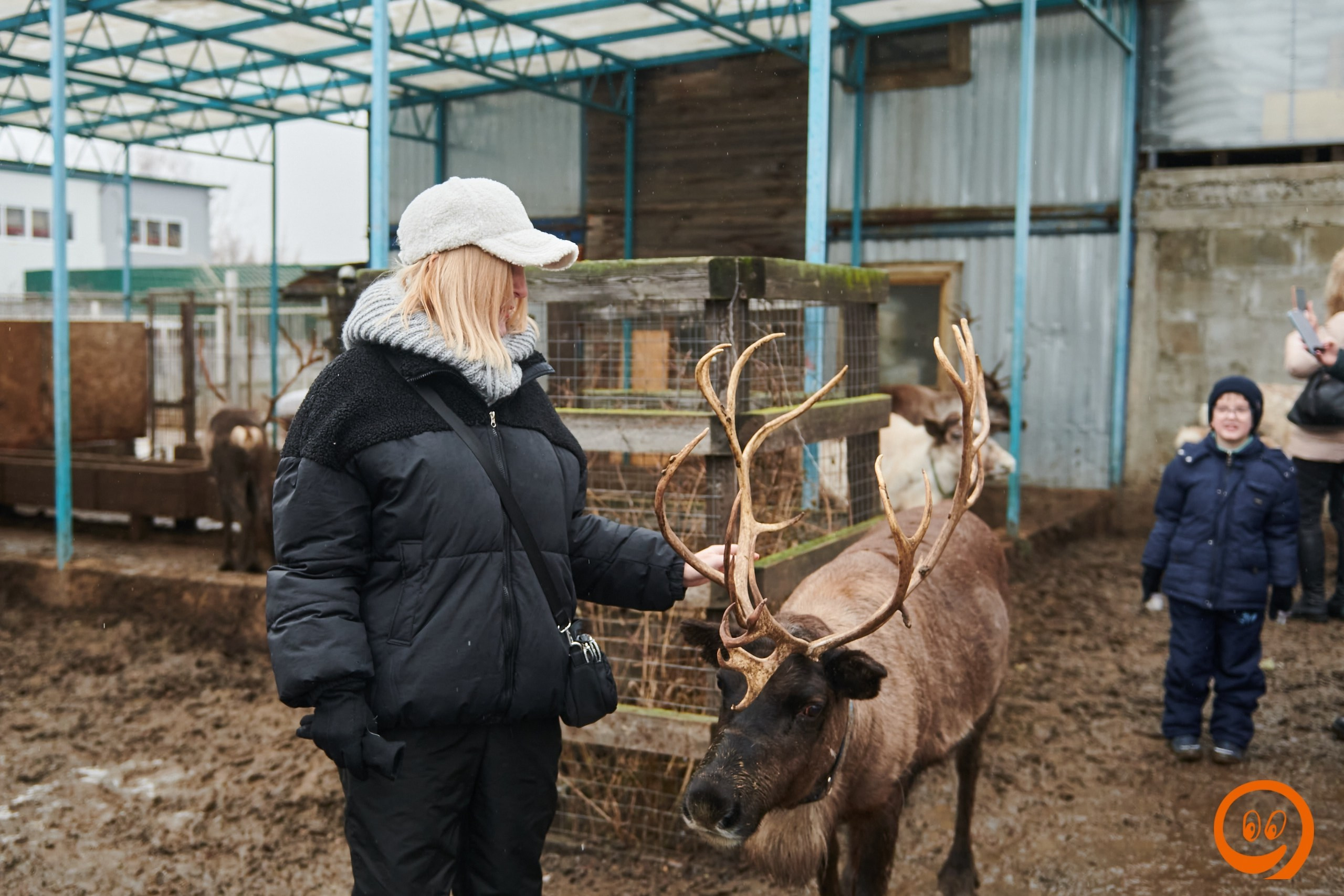 В гости к северным оленям | 18.01.2025. Галерея Фантим