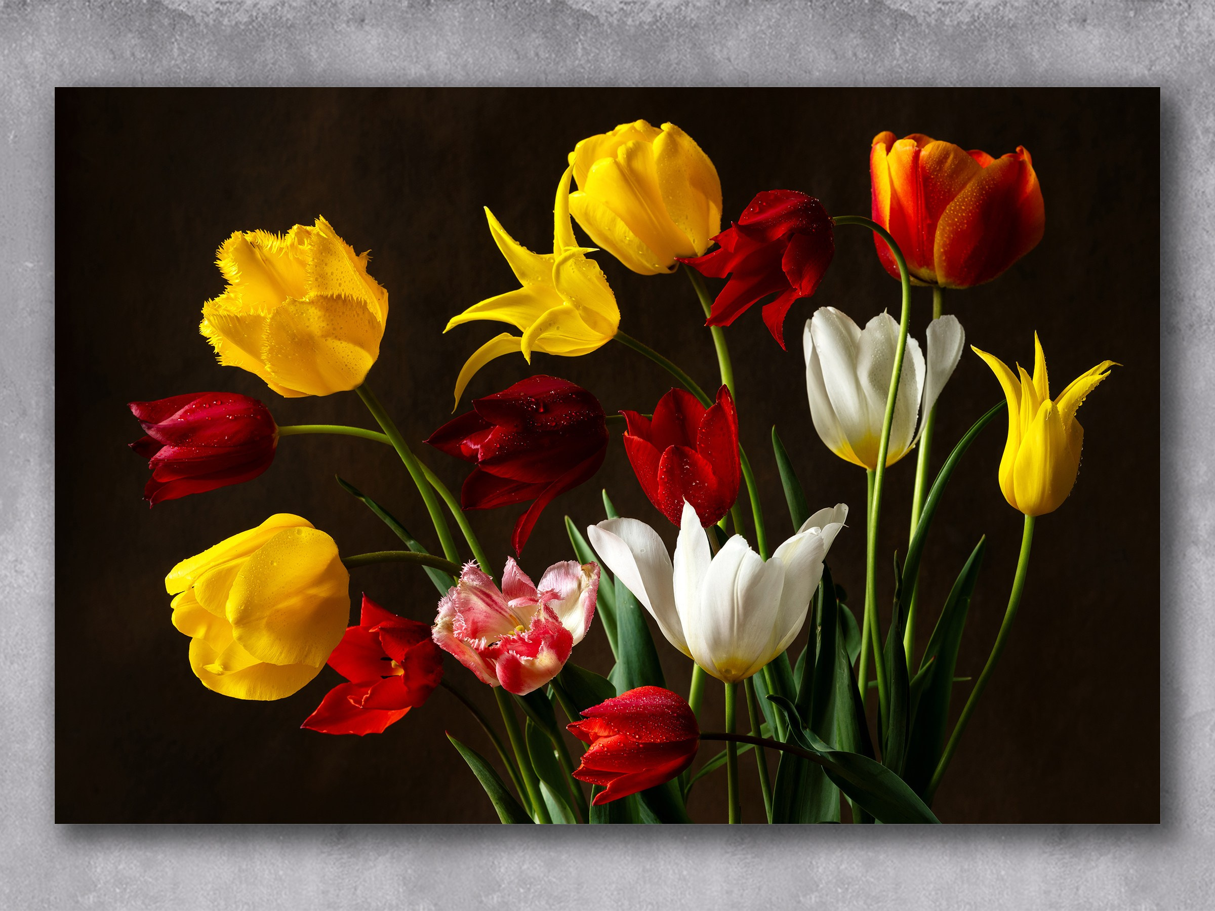 Bright Company. Author’s fine art prints with international delivery