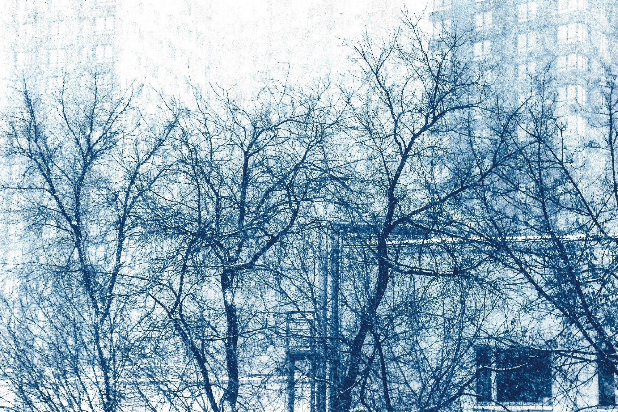 Ускользающая память. Shatohina.com