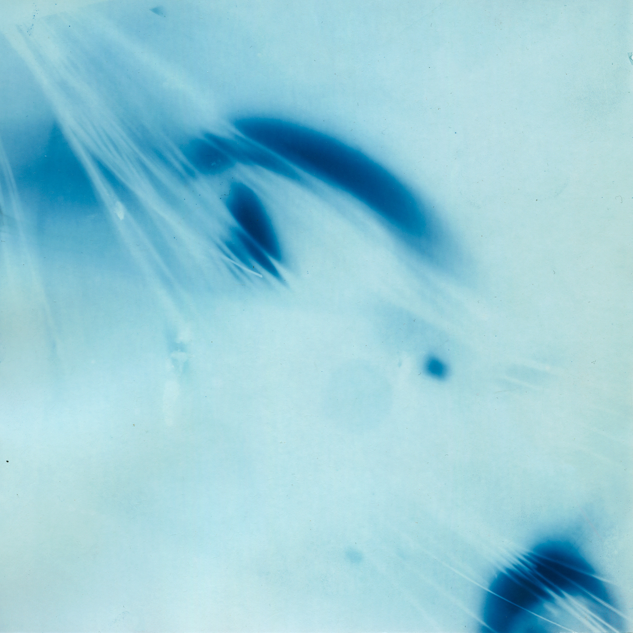 Пятно. Юлия Петренко