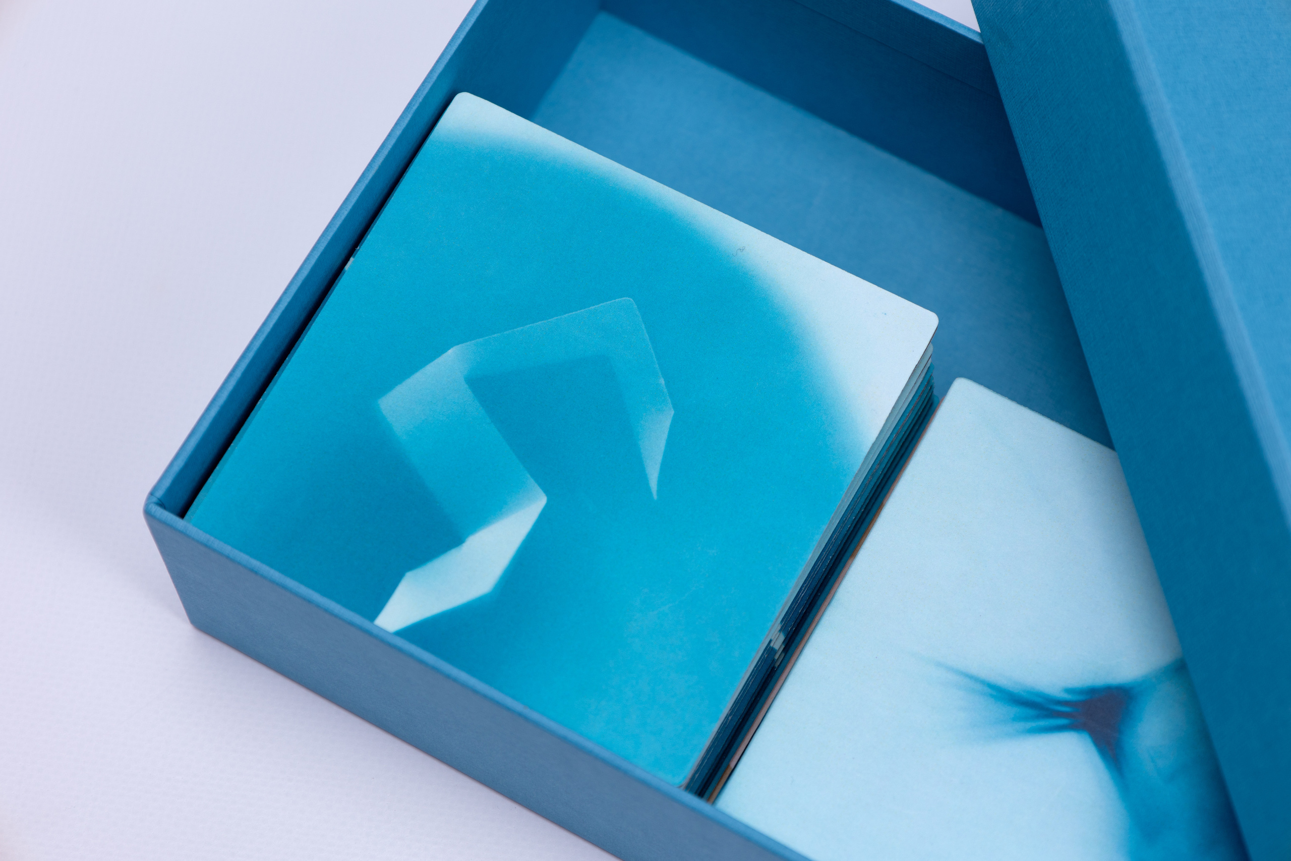 Пятно. Юлия Петренко