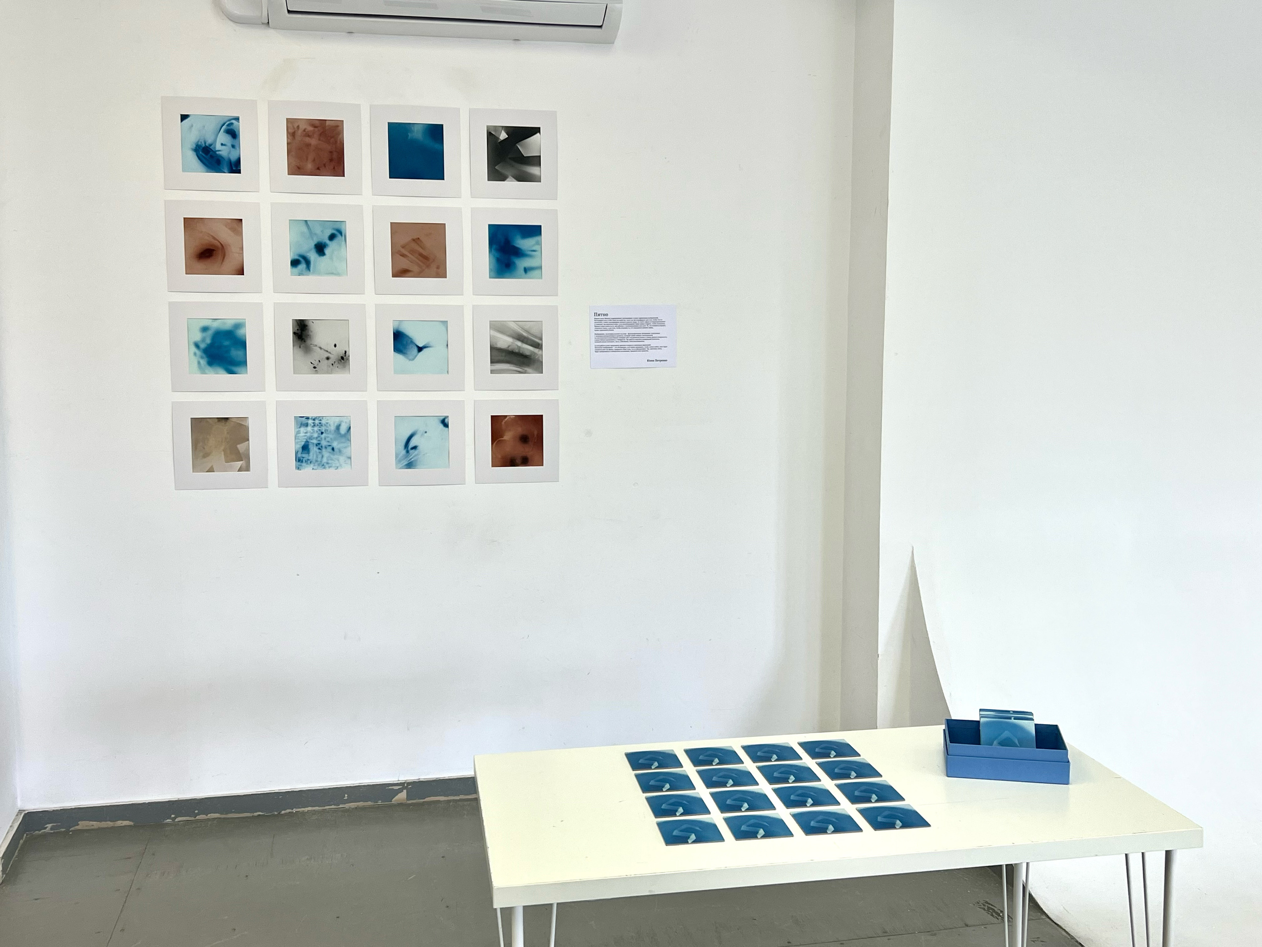 Пятно. Юлия Петренко