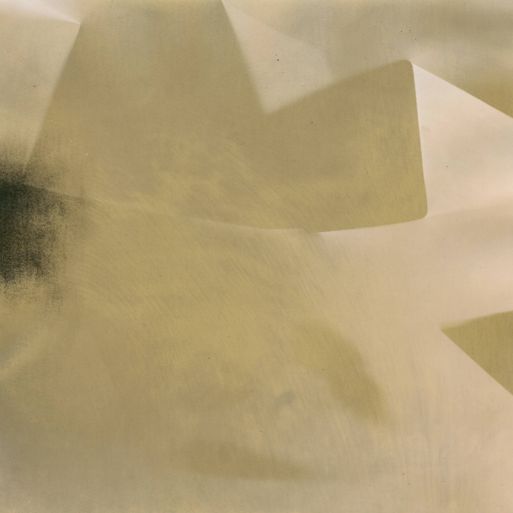 Пятно. Юлия Петренко