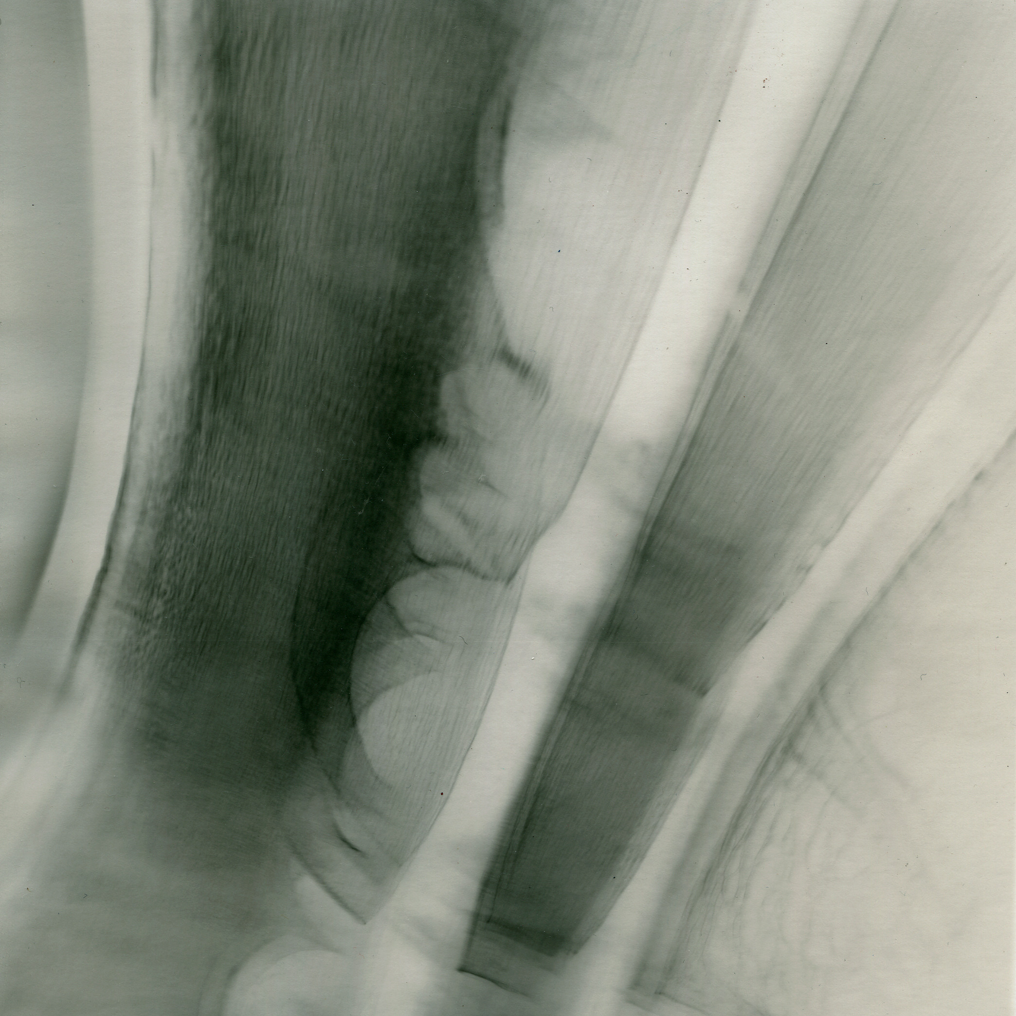 Пятно. Юлия Петренко