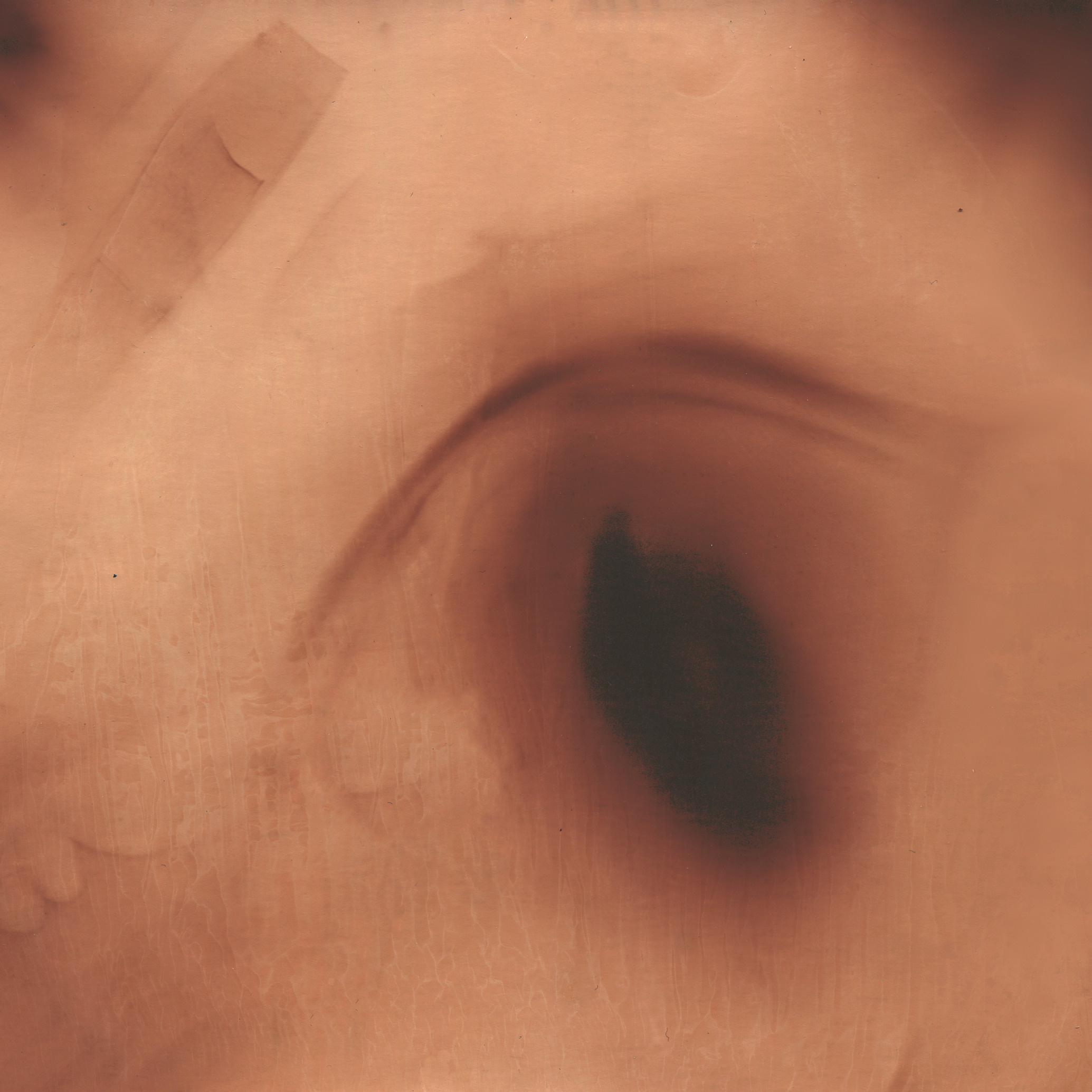 Пятно. Юлия Петренко