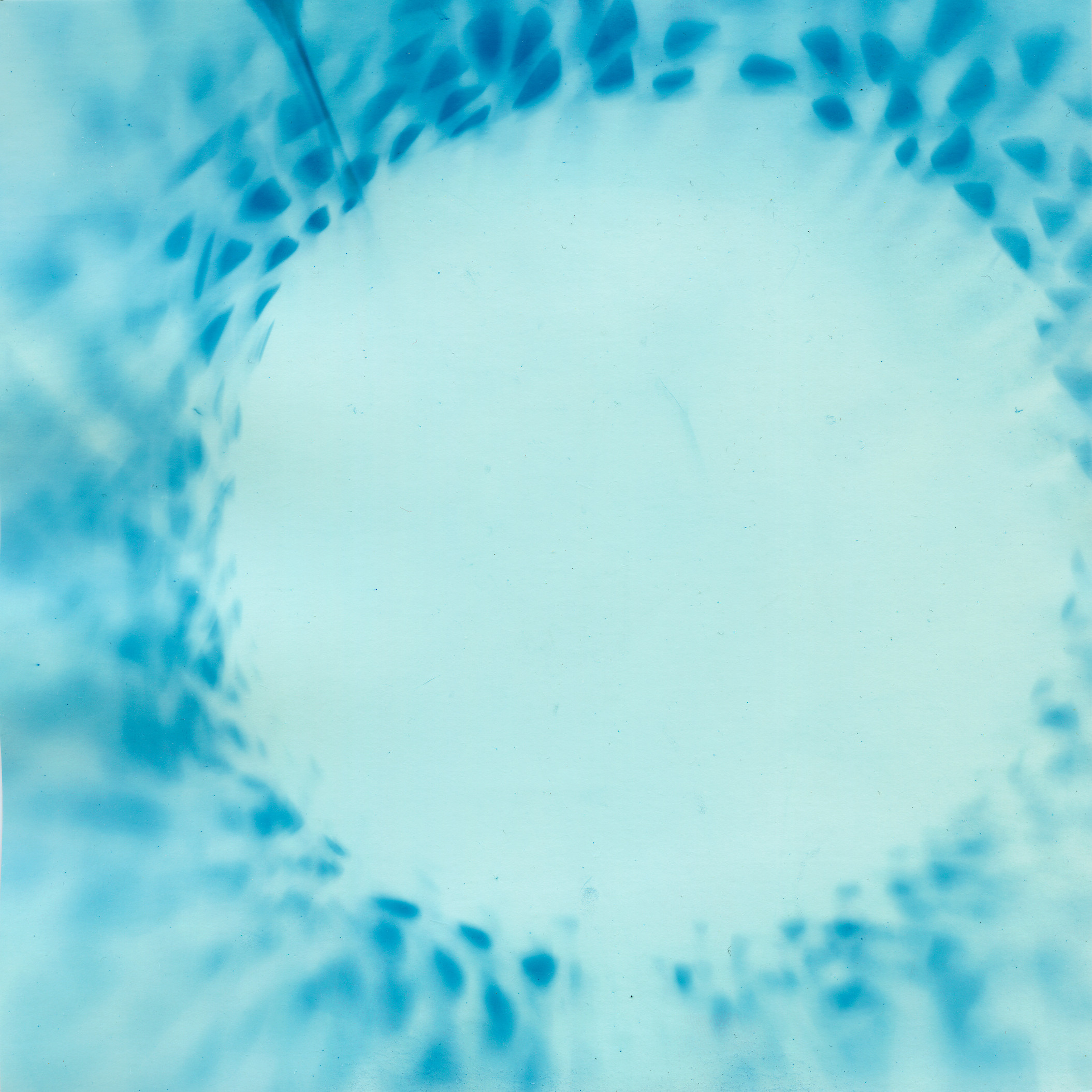 Пятно. Юлия Петренко