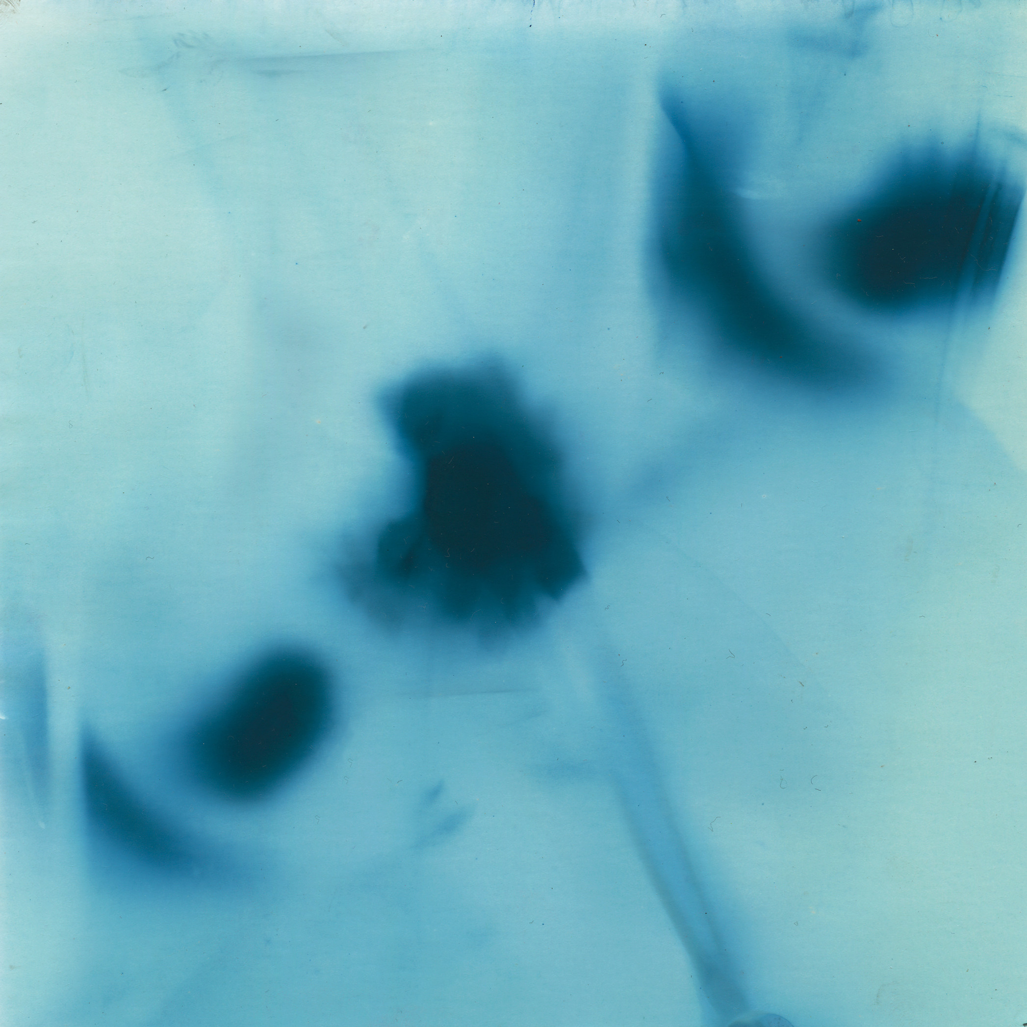 Пятно. Юлия Петренко