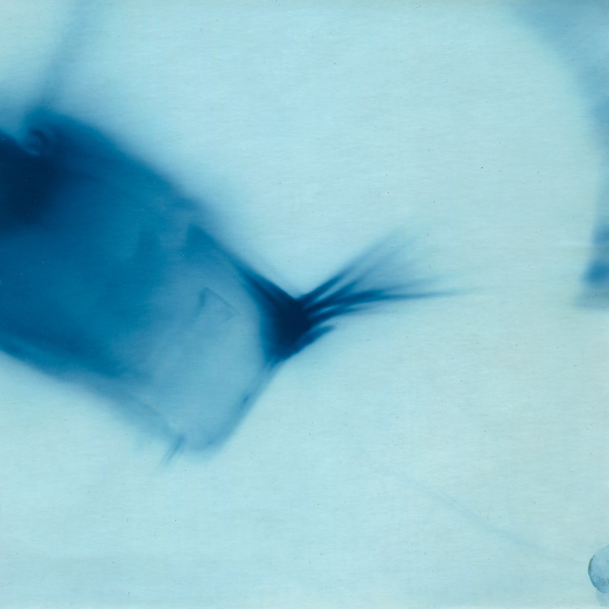 Пятно. Юлия Петренко