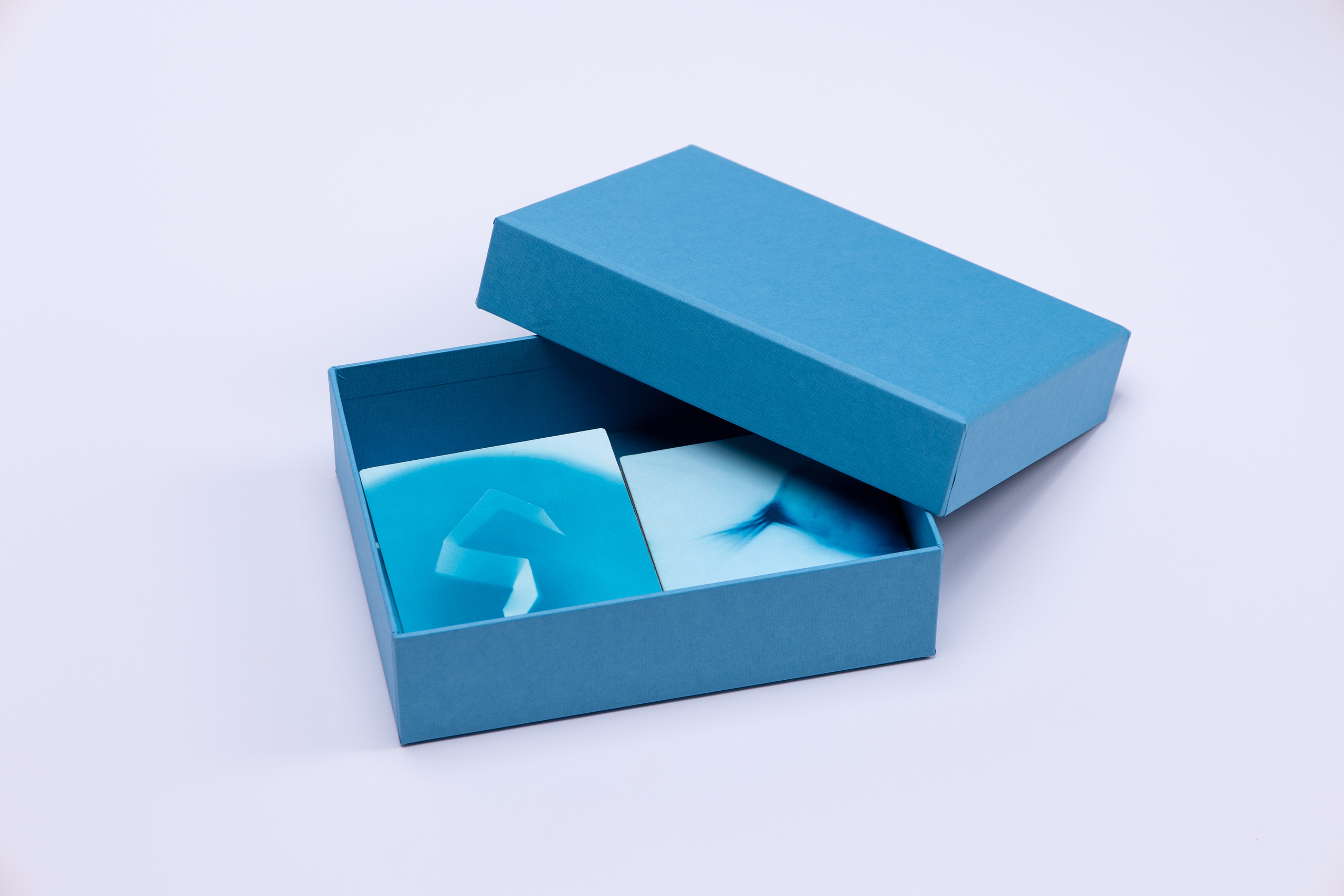 Пятно. Юлия Петренко