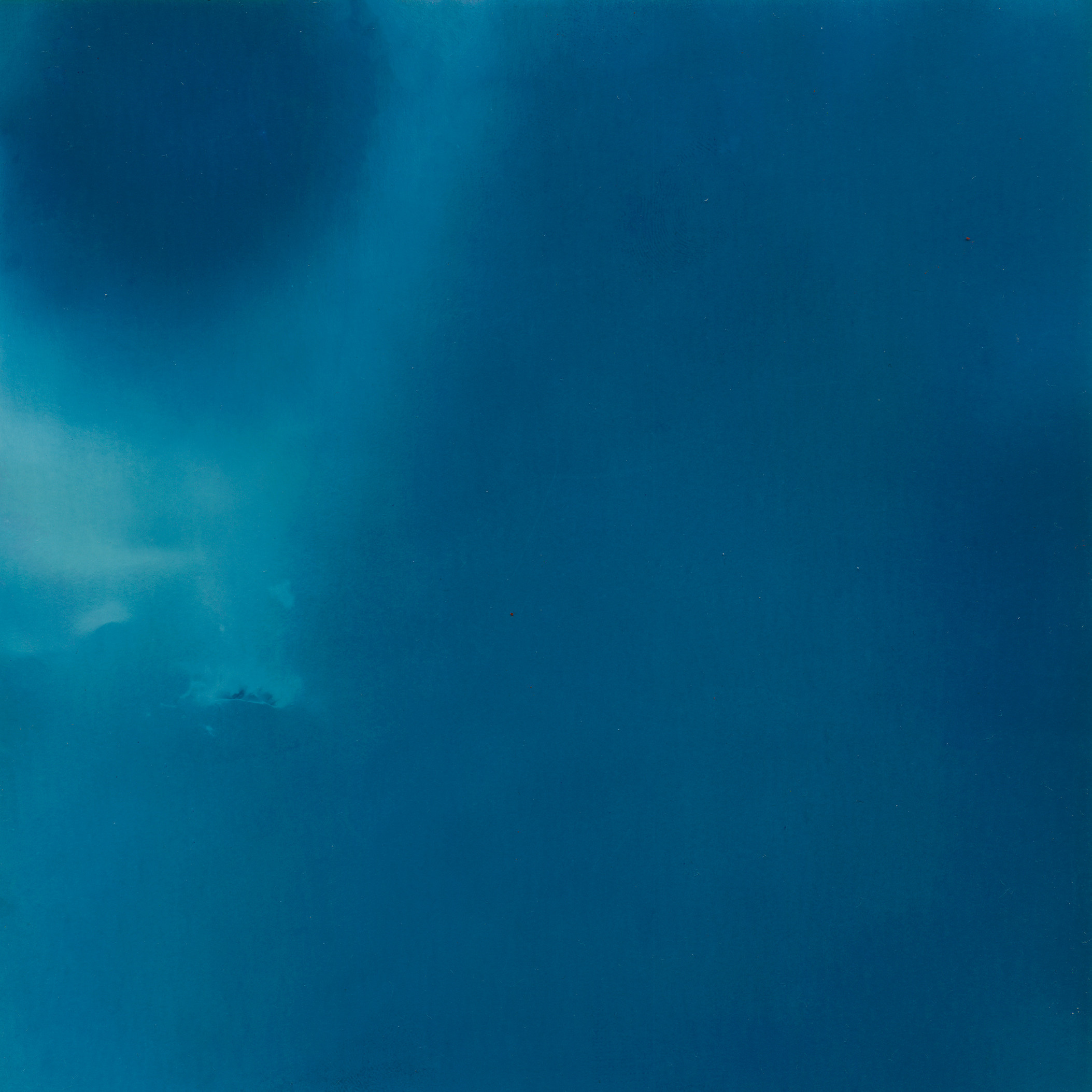 Пятно. Юлия Петренко