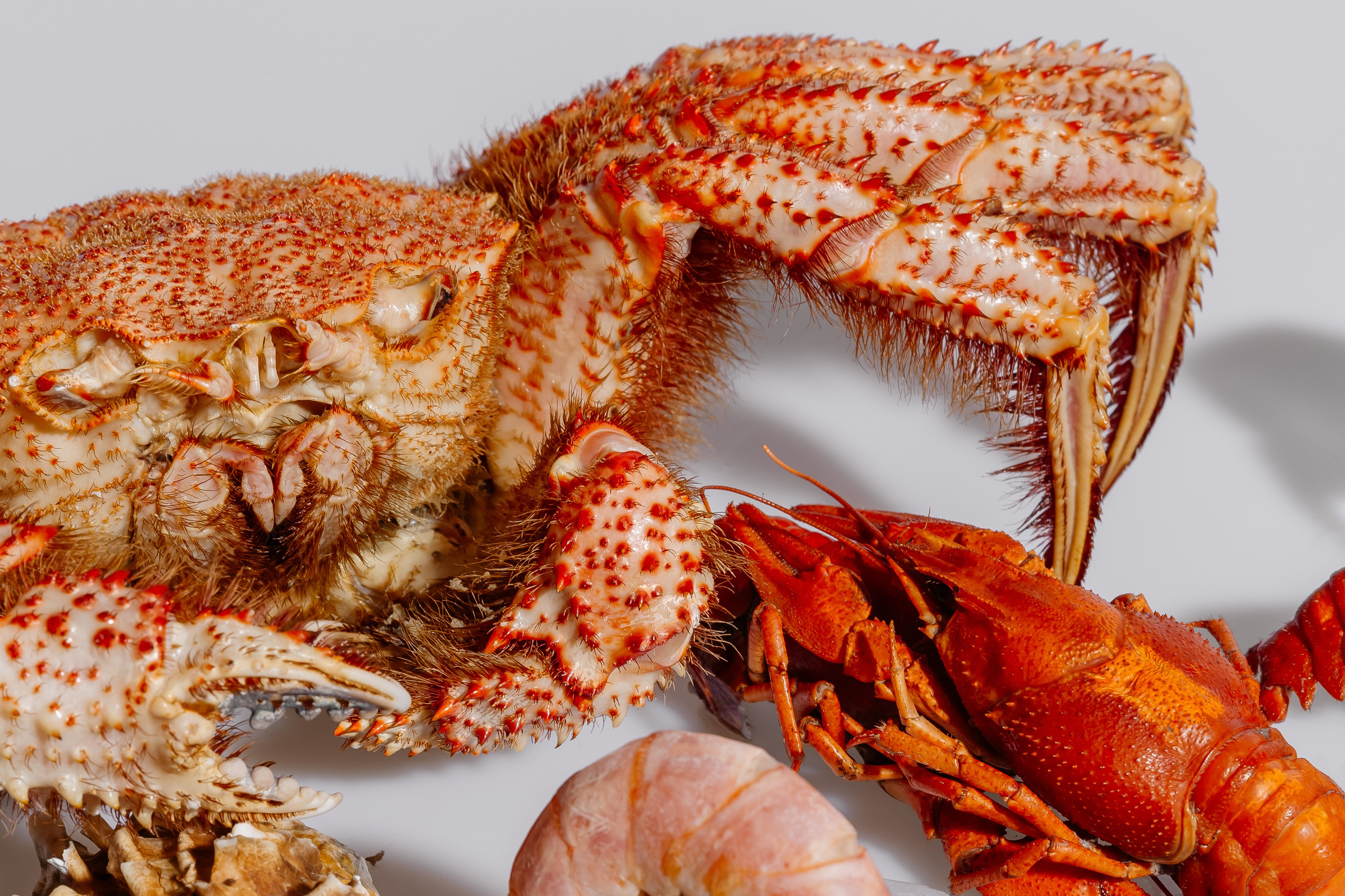 Splash.sea. Профессиональный фотограф Инесса Новикова в Москве