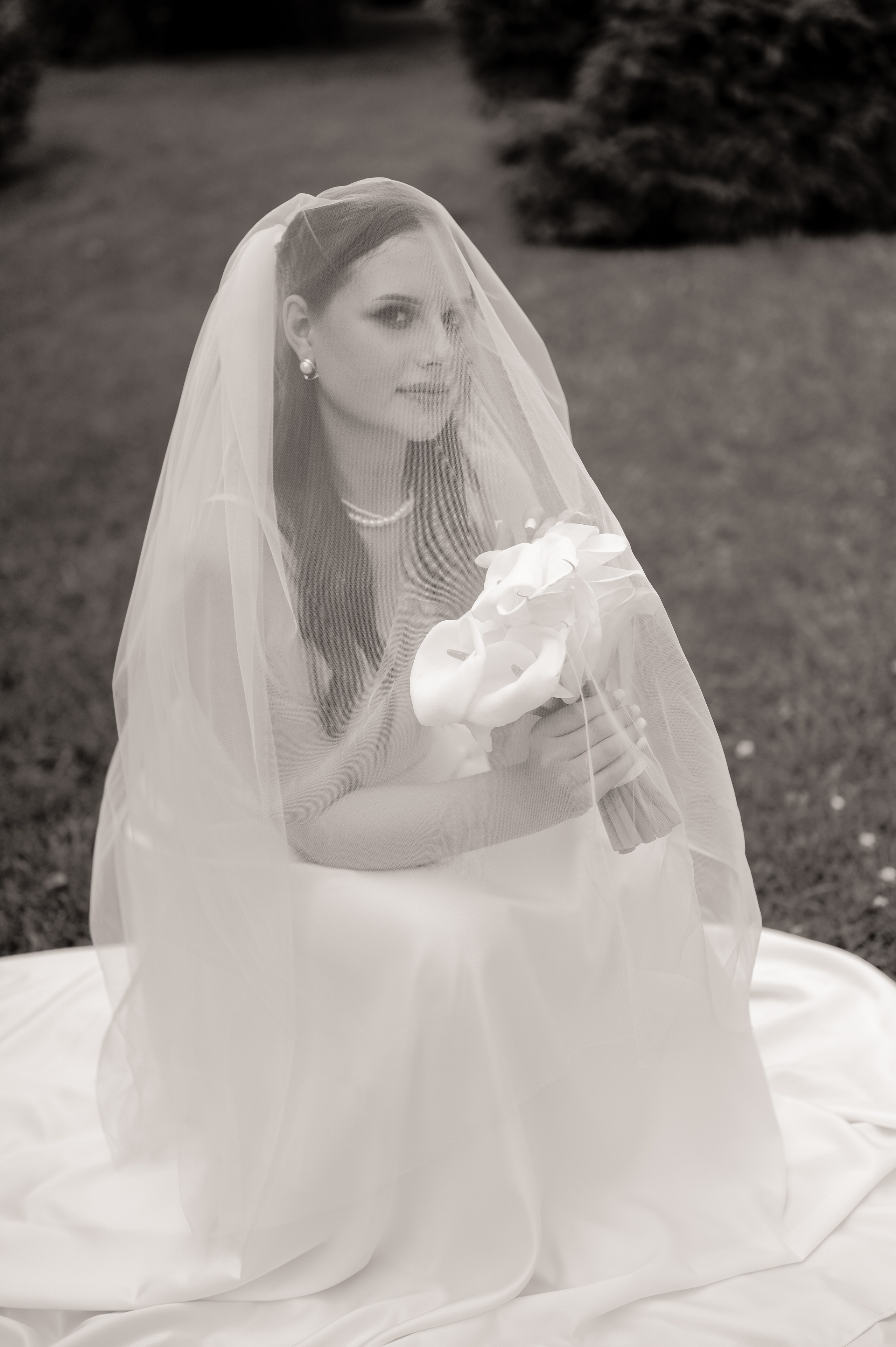 Загс (студия и прогулка). Свадебный и семейный фотограф в Краснодаре Алина Мельник