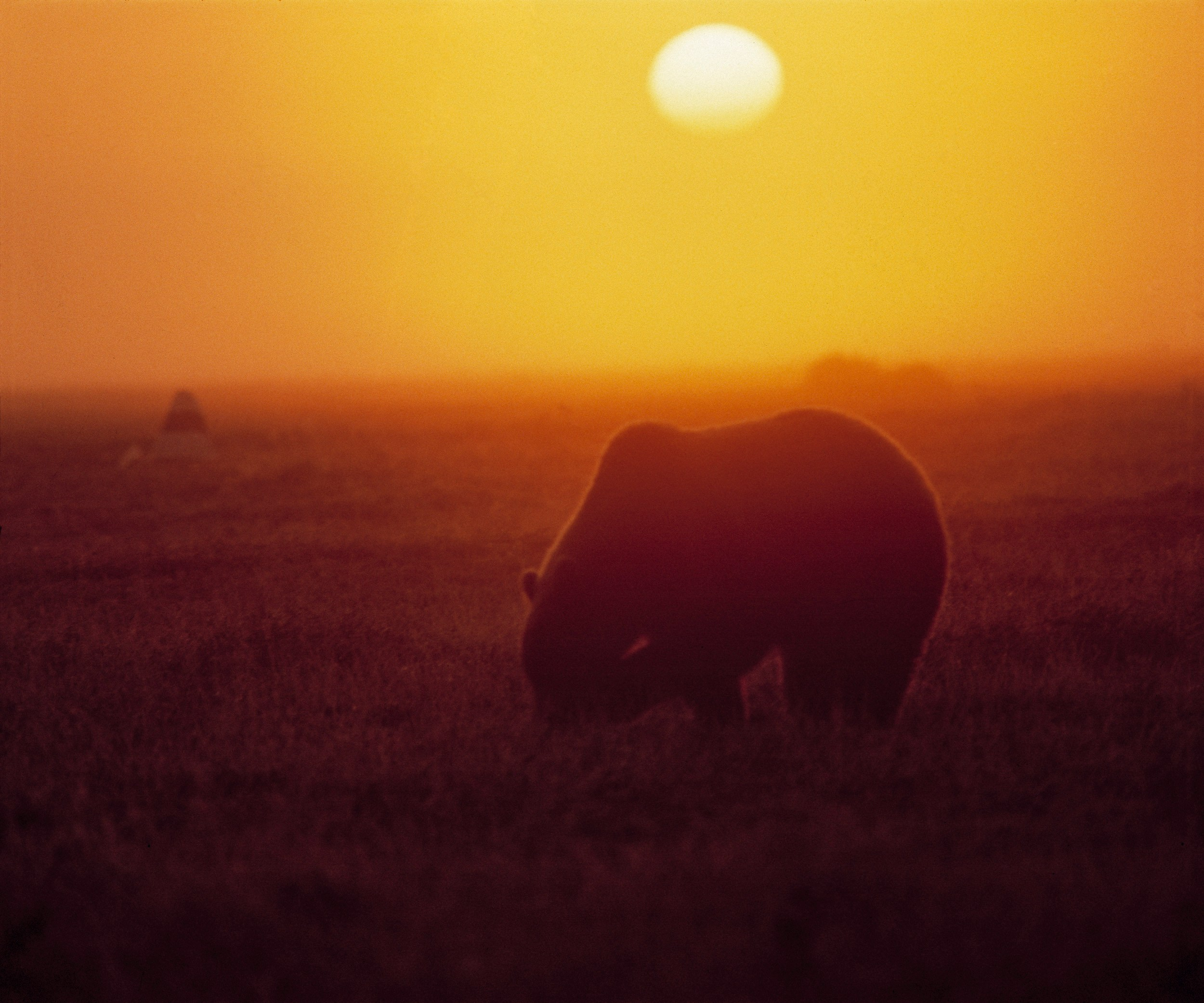 Камчатка. Кальдера Узон. ВАДИМ ГИППЕНРЕЙТЕР — ВЕЛИКИЙ ФОТОГРАФ ЗЕМЛИ РУССКОЙ