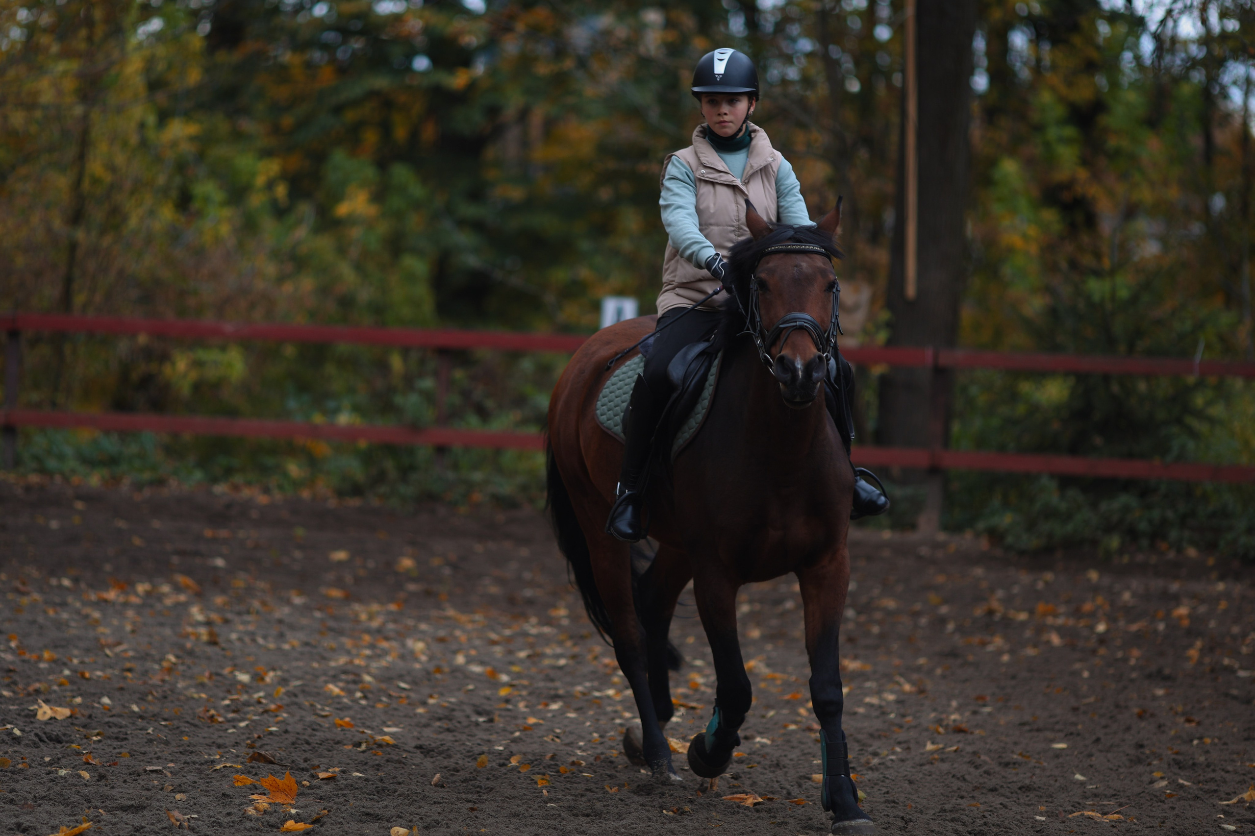 Фотосессия с животными. Фотограф Алина Рошаль. С 2017 года ловлю эмоции и превращаю их в нежные воспоминания для вас в Москве и Подмосковье