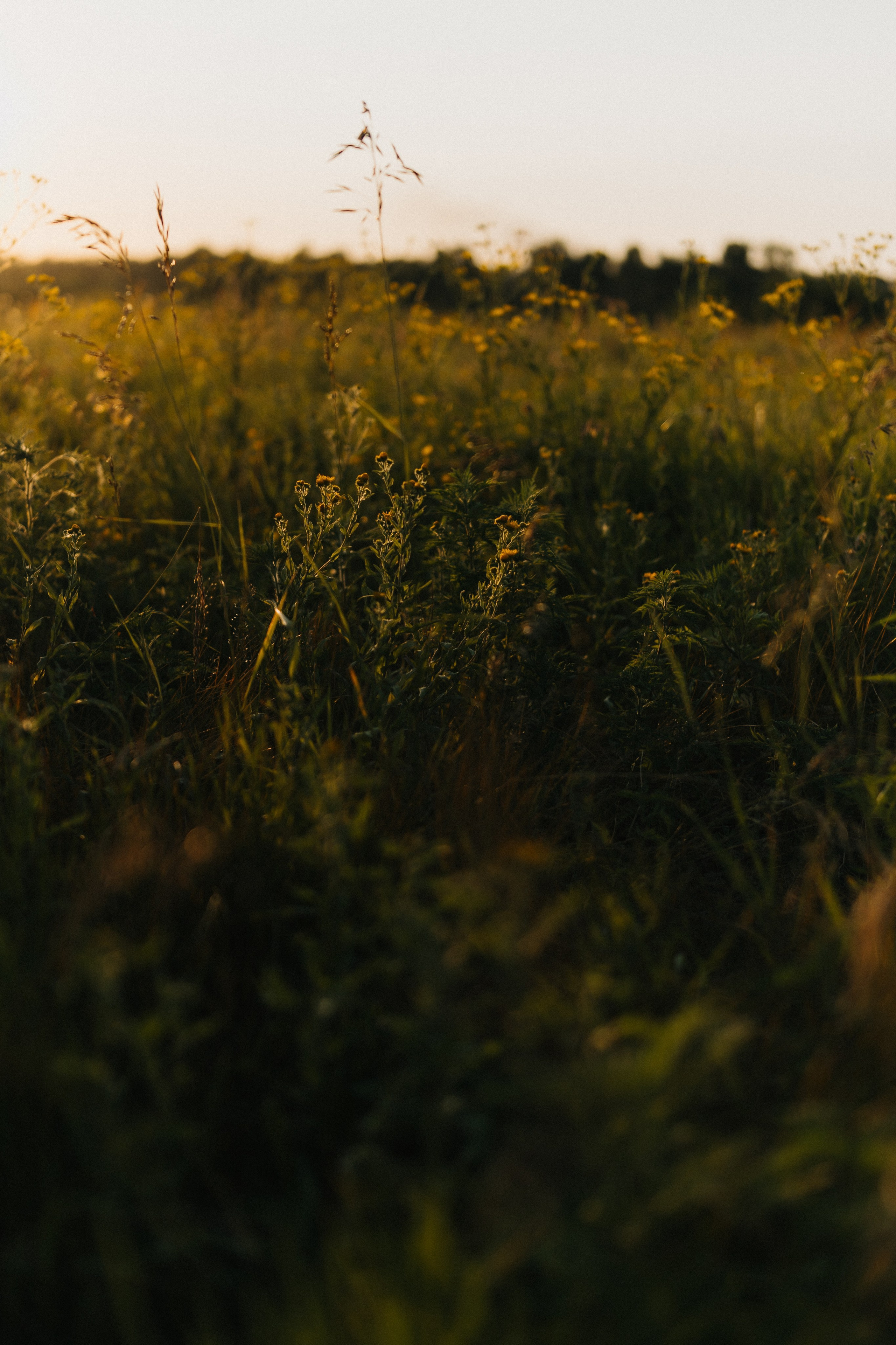 Маша и Адель. Ланемец Юлия — фотограф Волгоград/Волжский