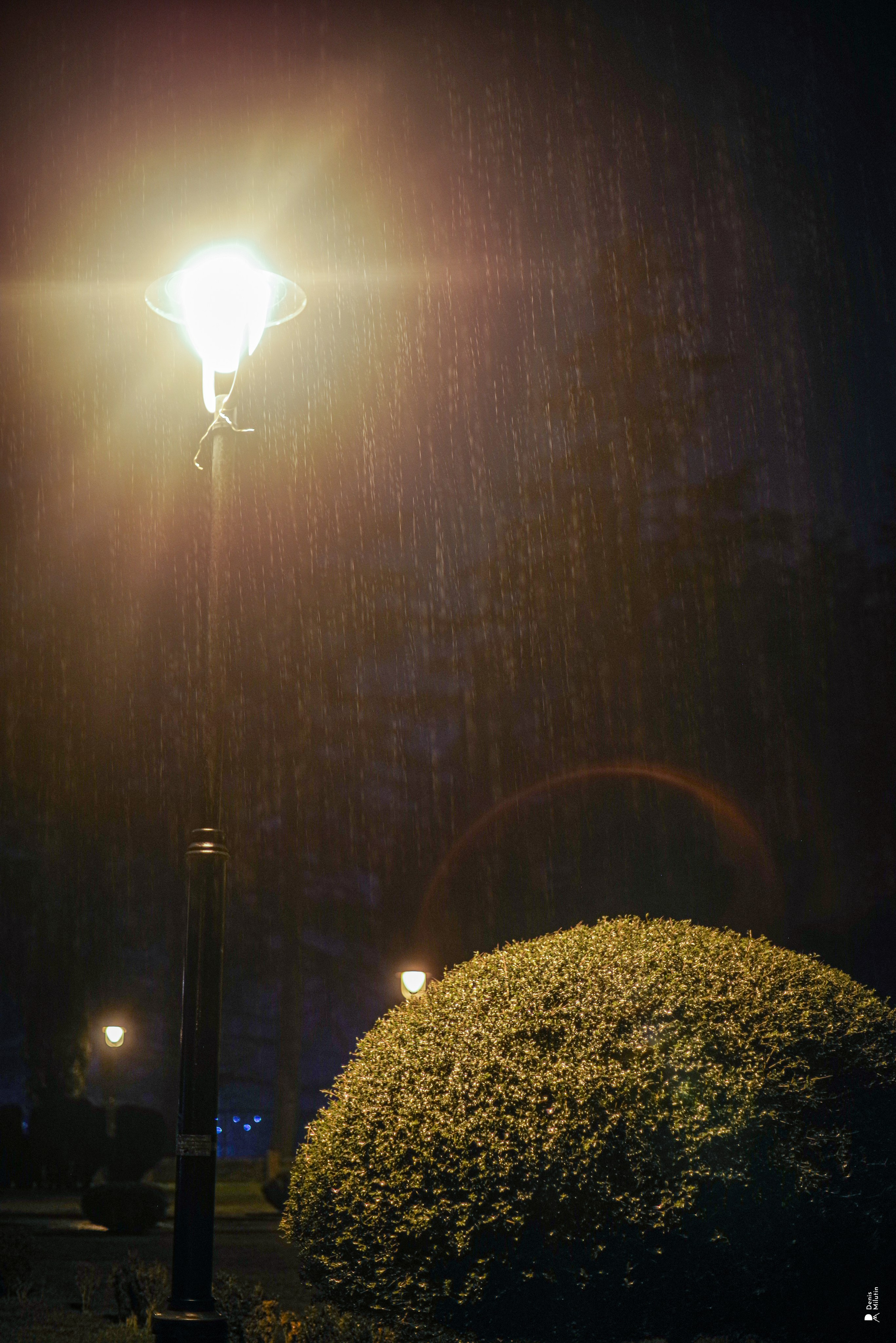 Зугдиди. Портретный фотограф Денис Милютин