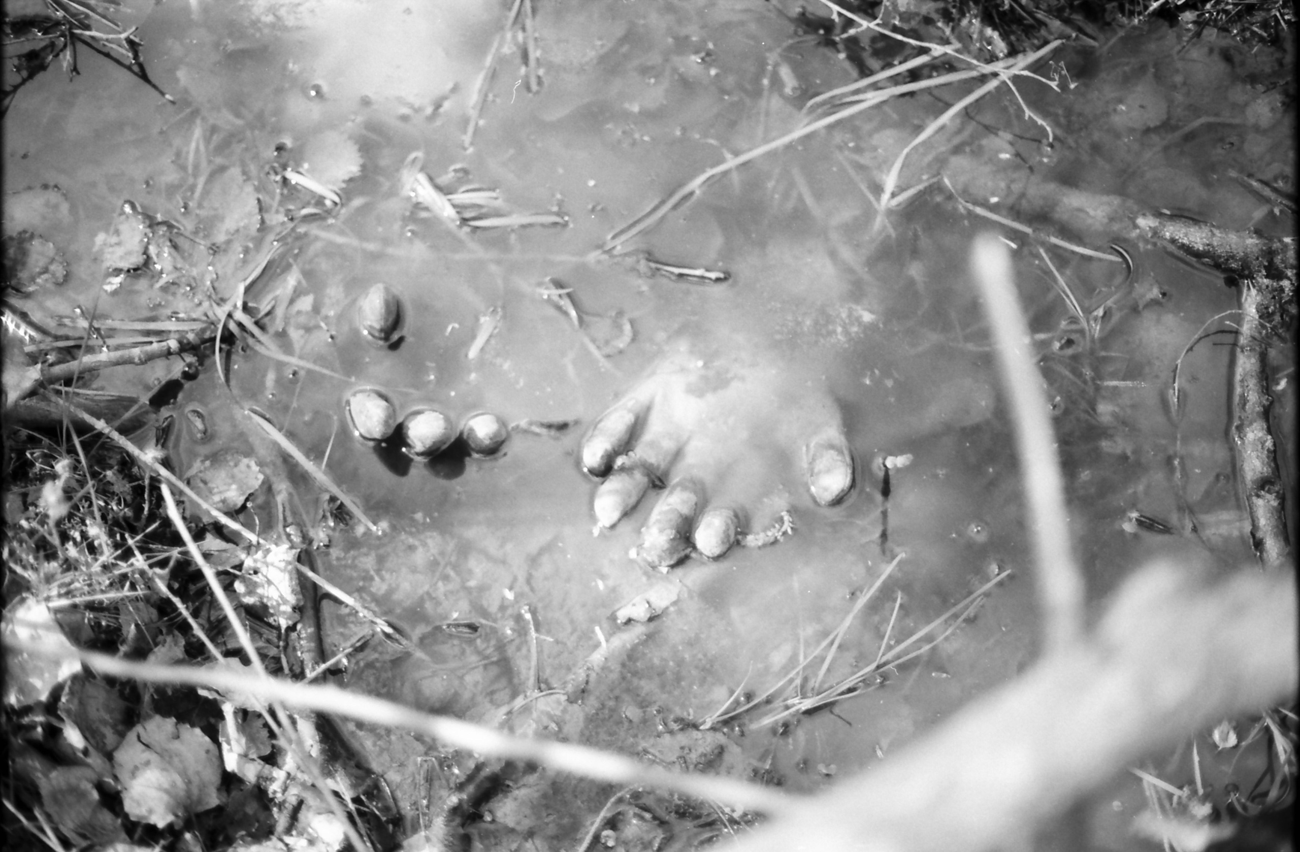 Spaces and faces 2013-∞. Наталья Рутова