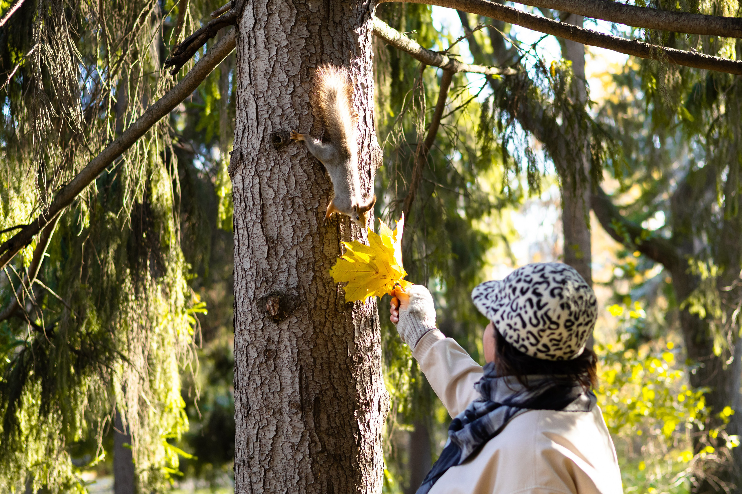 Илья и Ирина. Осенняя фотосессия в парке, Екатеринбург. Фотограф в Екатеринбурге Пойгина Елена