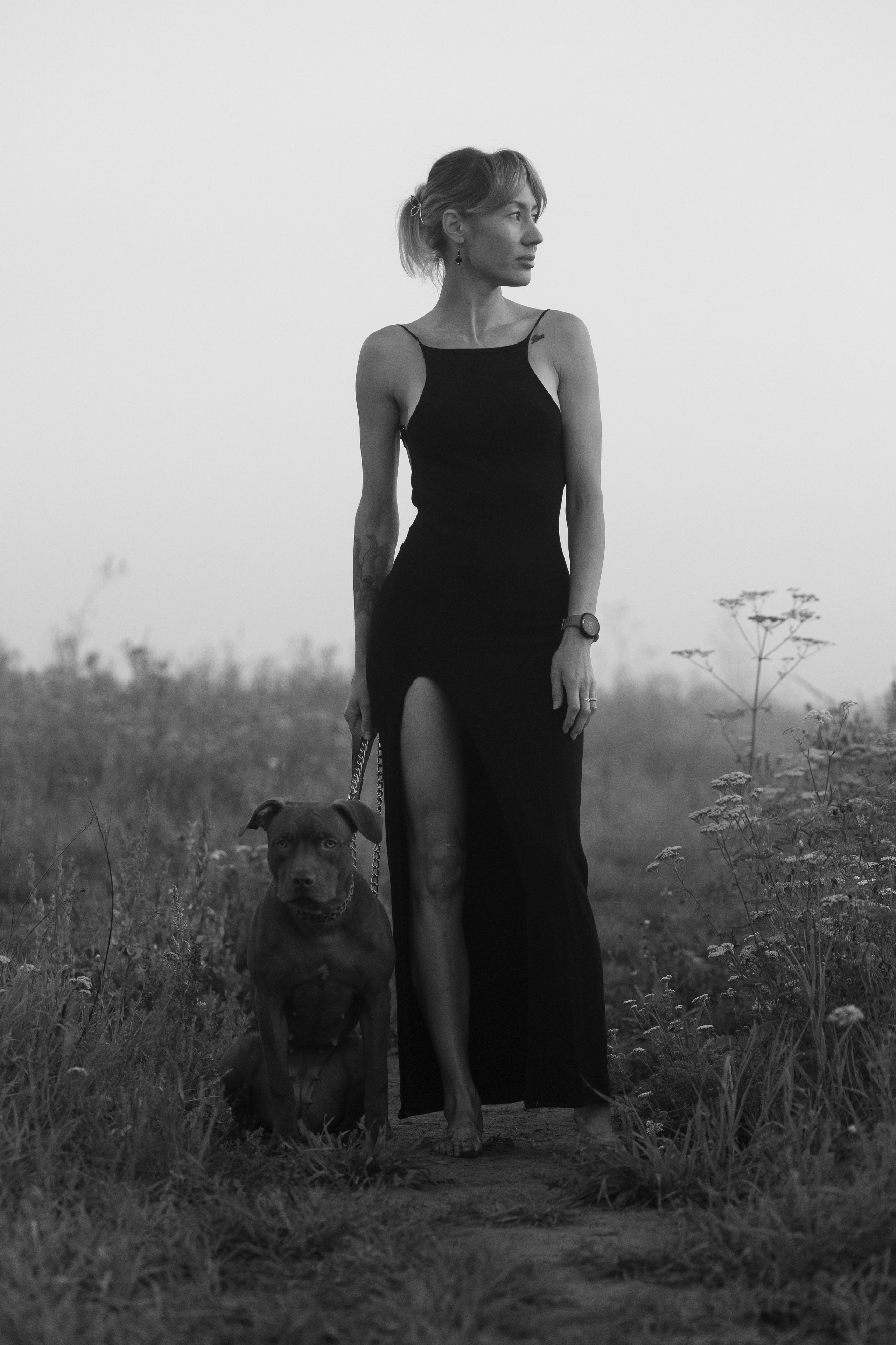 Собаки. Фотограф-анималист|Иркутск