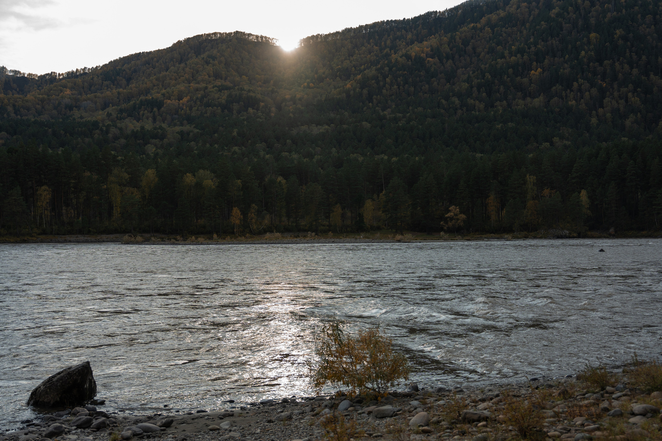 Семейная фотосессия в Москве для большой семьи. Свадебный фотограф в Москве Анна Полушина