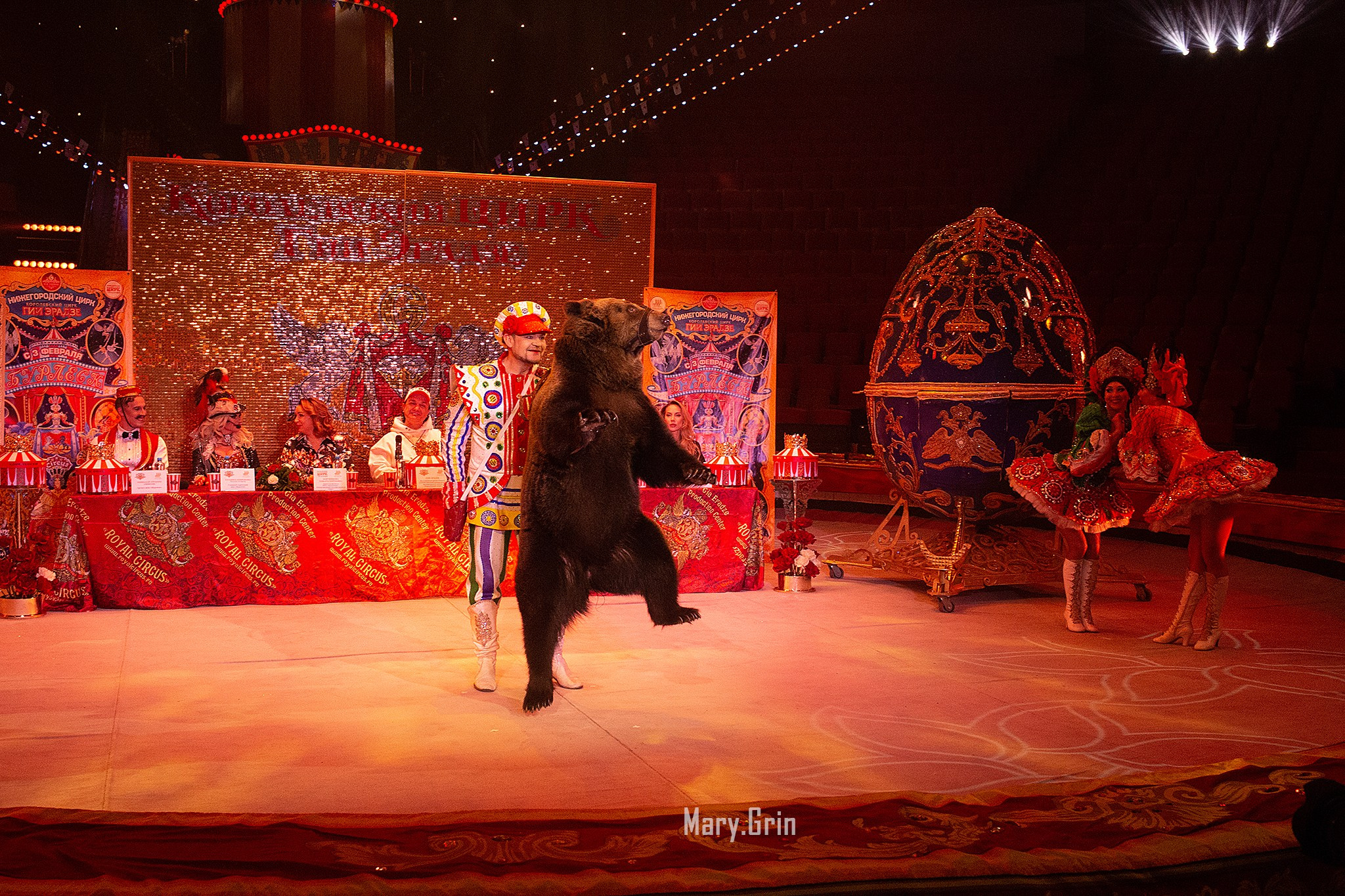 Цирк Гии Эрадзе. Детский и семейный фотограф, фотограф мероприятий Нижний Новгород