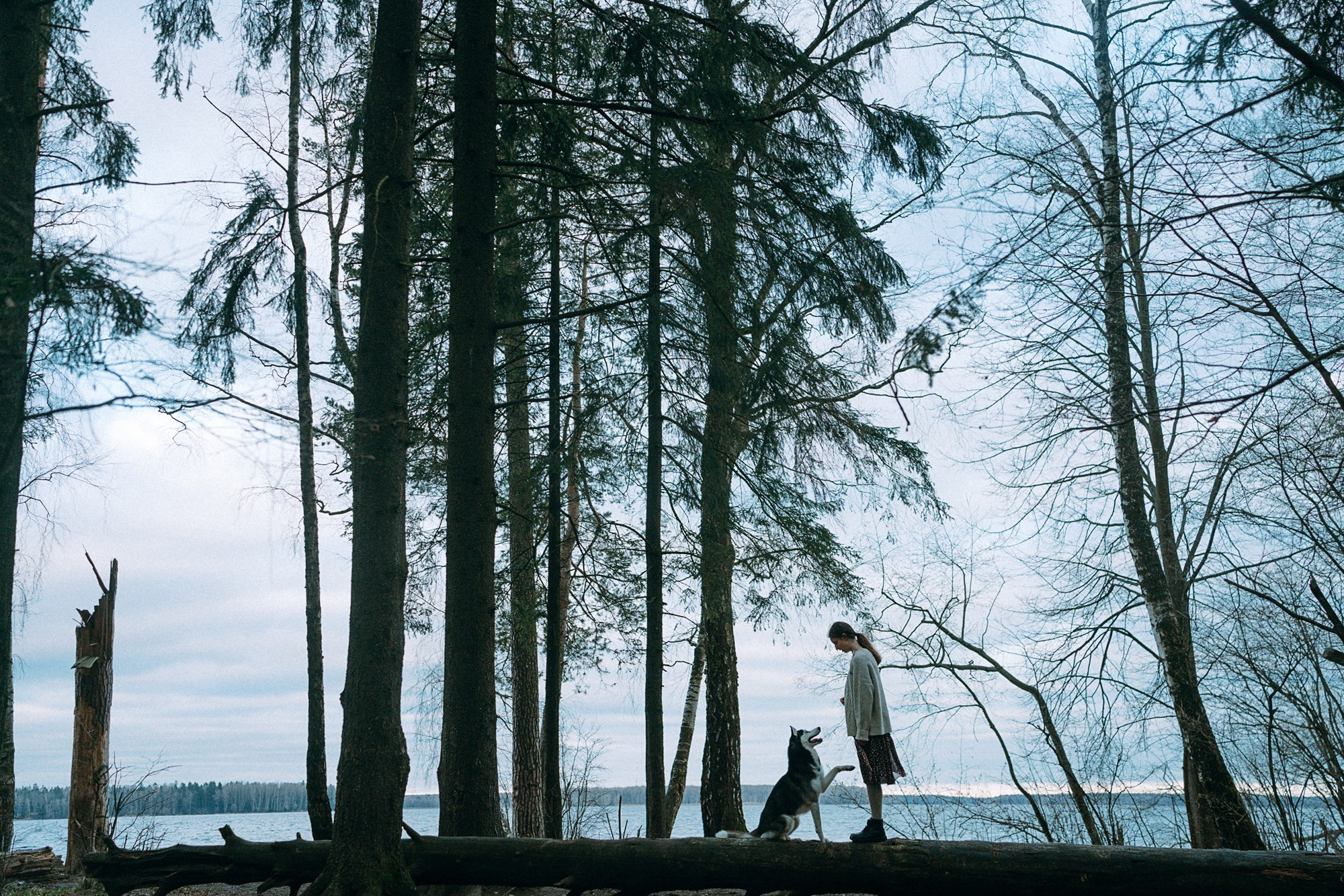 Наташа и Сириус. Фотограф анималист в Москве и Санкт-Петербурге Свиридова Анна