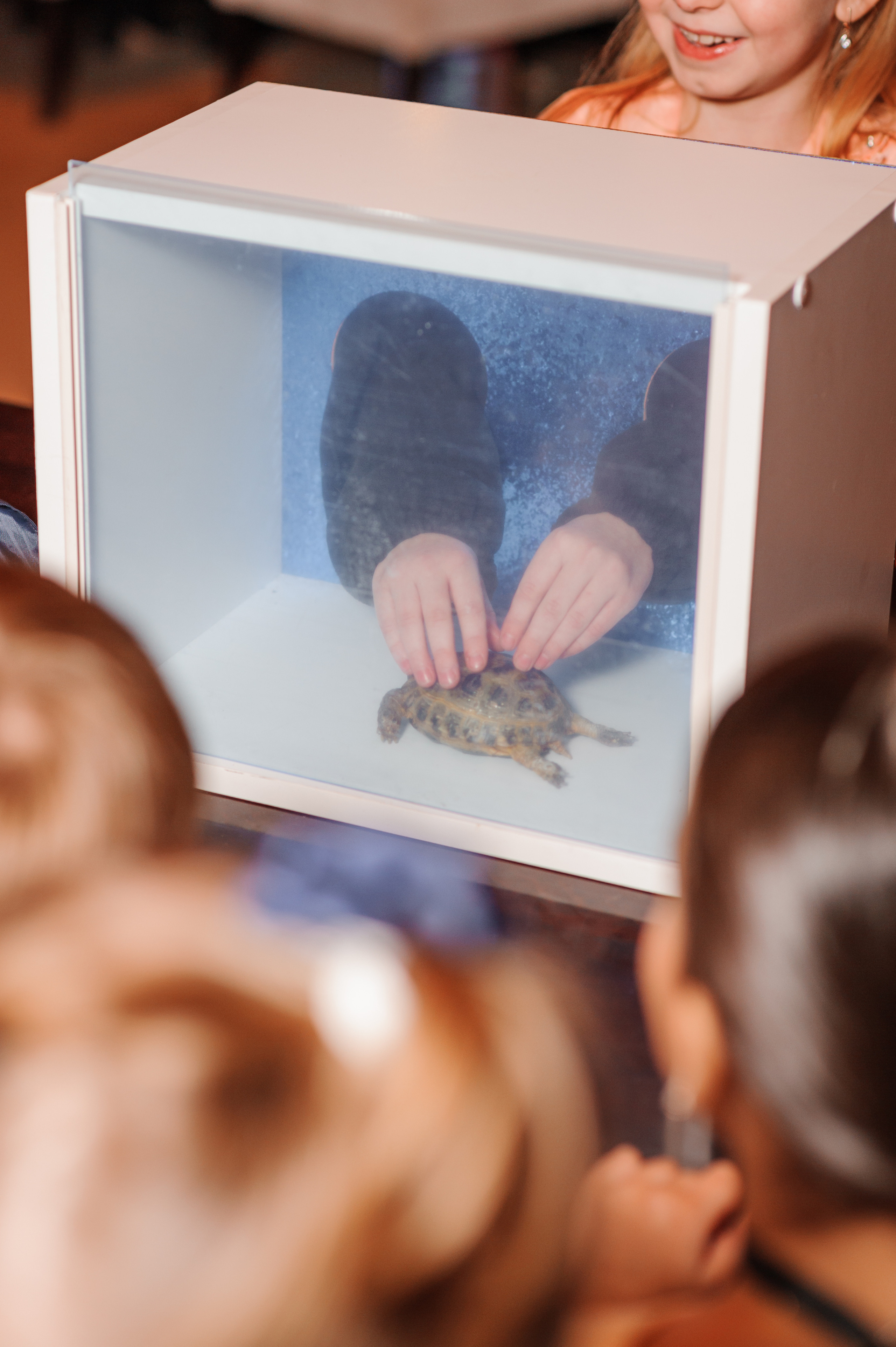Детский день рождения. Семейный фотограф в Нижнем Новгороде