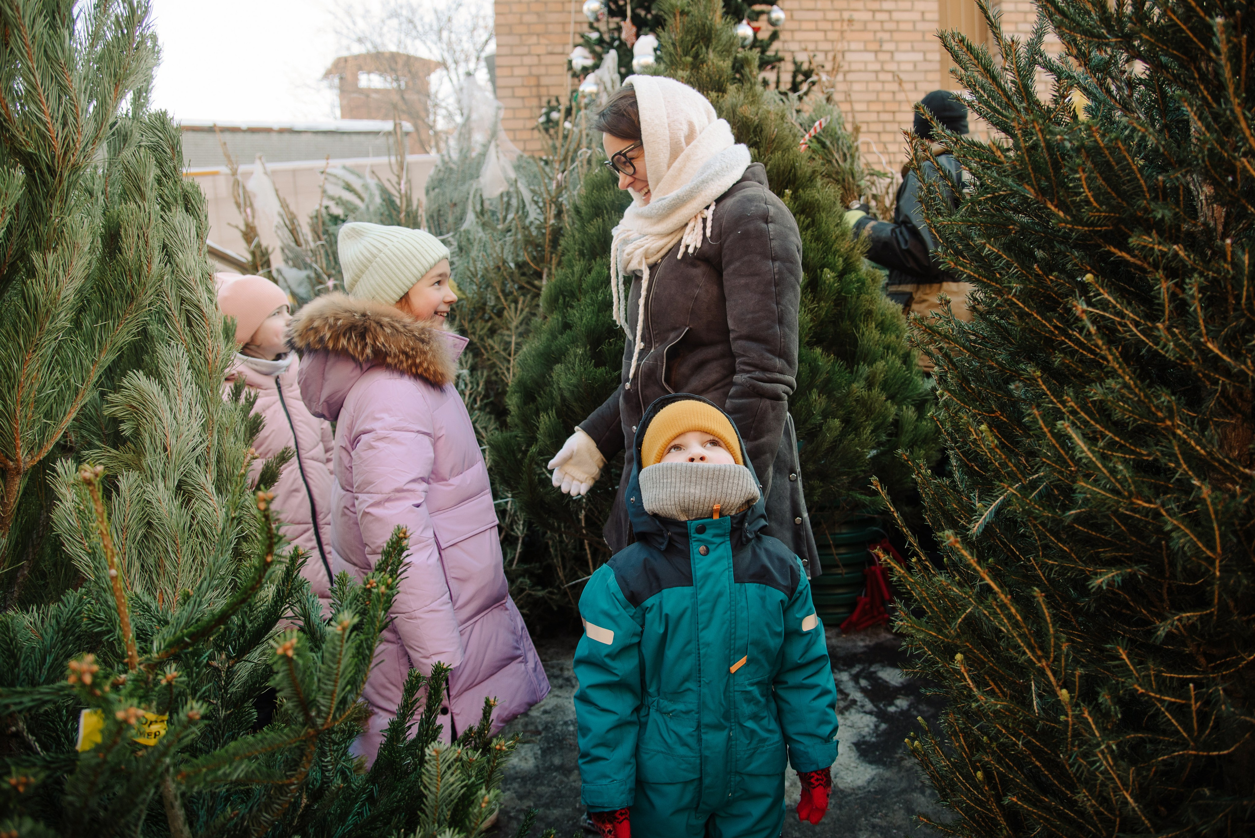 Дина. Предновогоднее. Фотограф Алиса Калинина