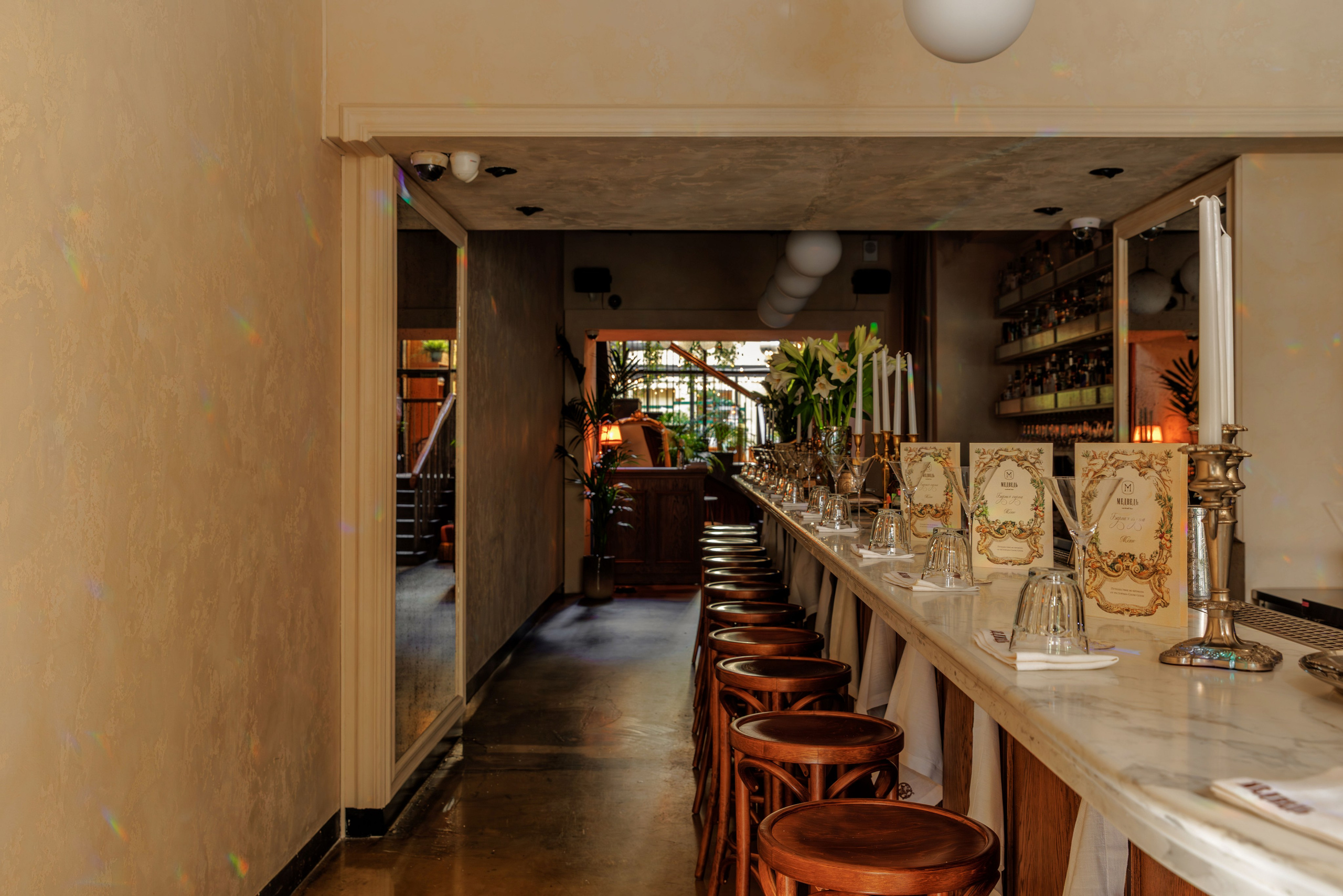 Медведь. Репортажный фотограф в Санкт-Петербурге Жолудев Владислав