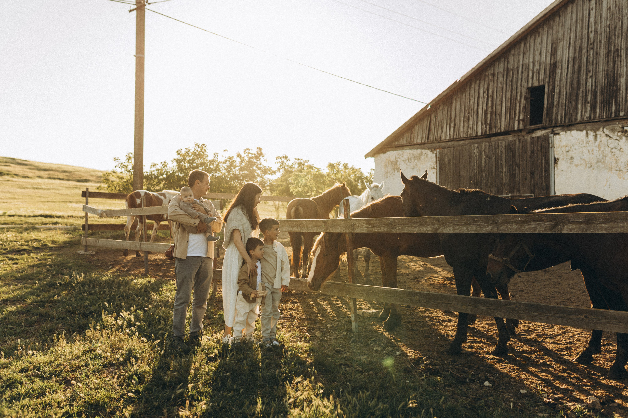 Закат на ферме. Семейный фотограф в Новороссийске и Анапе Александра Яковлева
